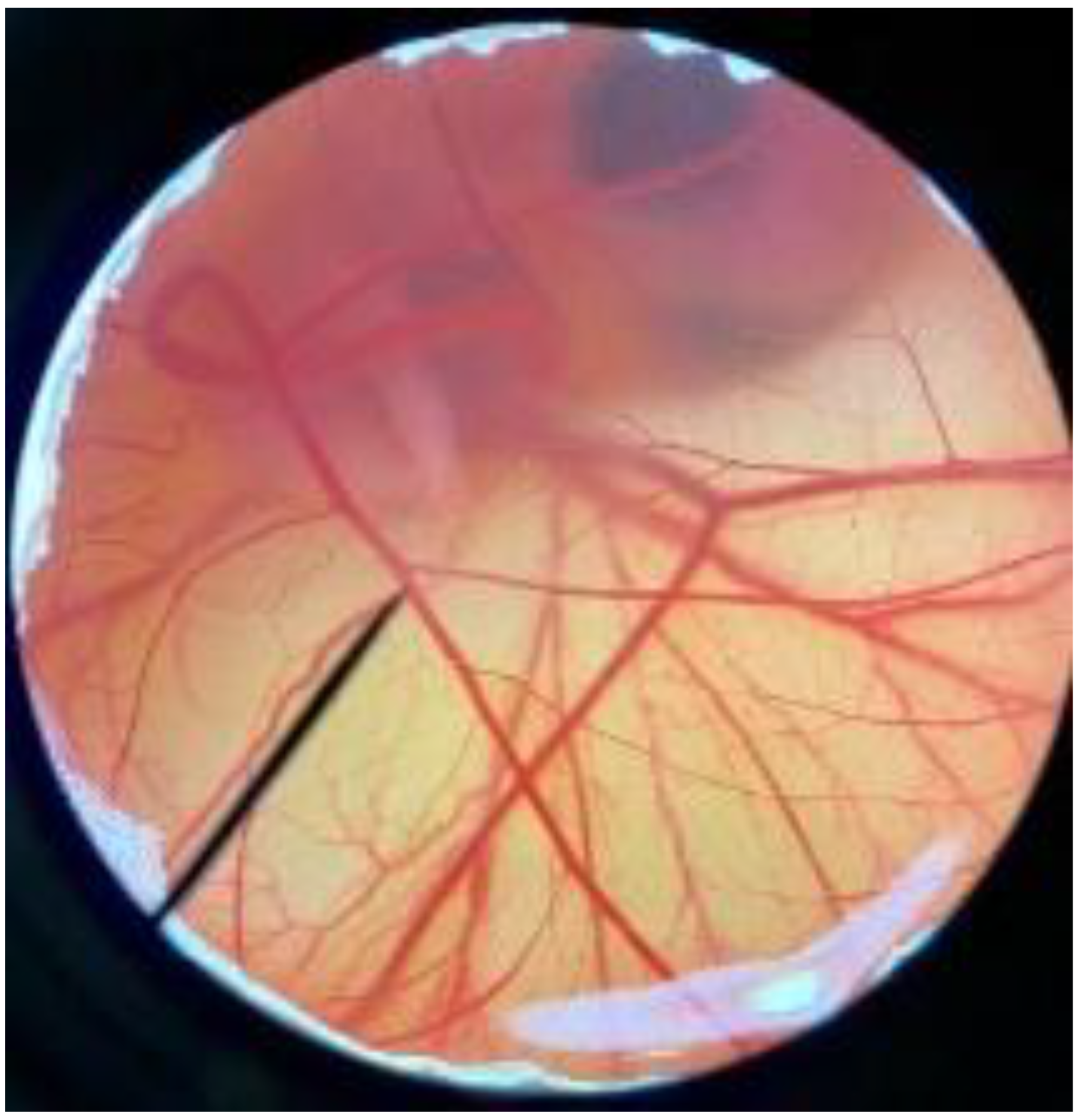 Polymers 14 04202 i008 Polymers 14 04202 i008