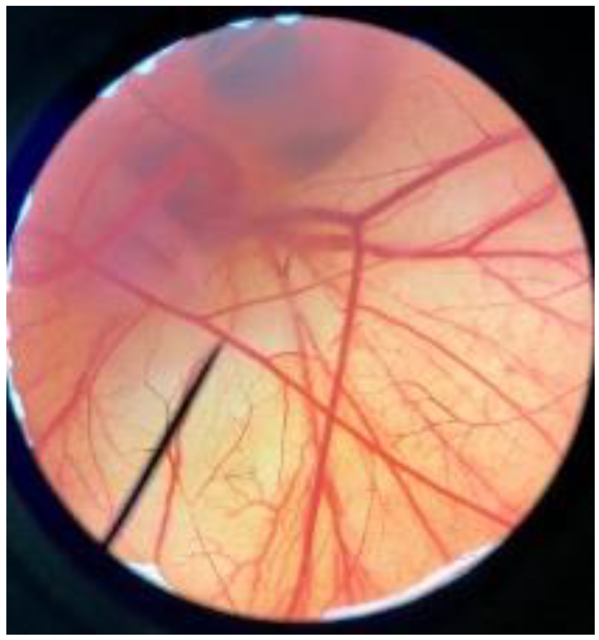 Polymers 14 04202 i009 Polymers 14 04202 i009