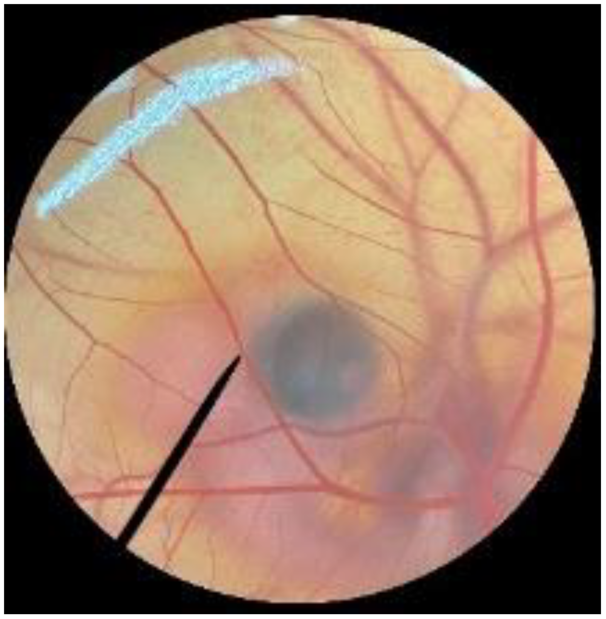 Polymers 14 04202 i010 Polymers 14 04202 i010