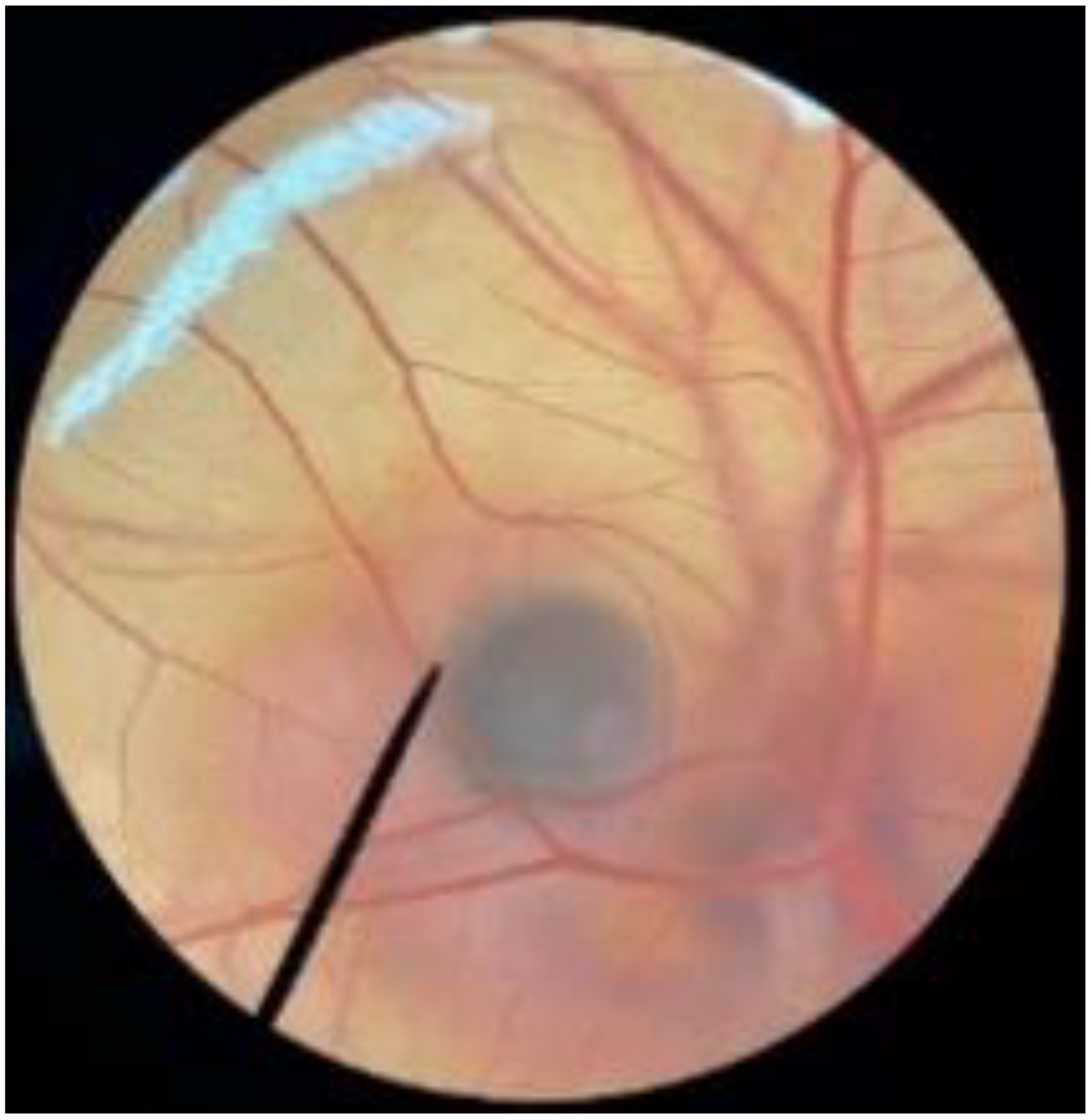 Polymers 14 04202 i011 Polymers 14 04202 i011