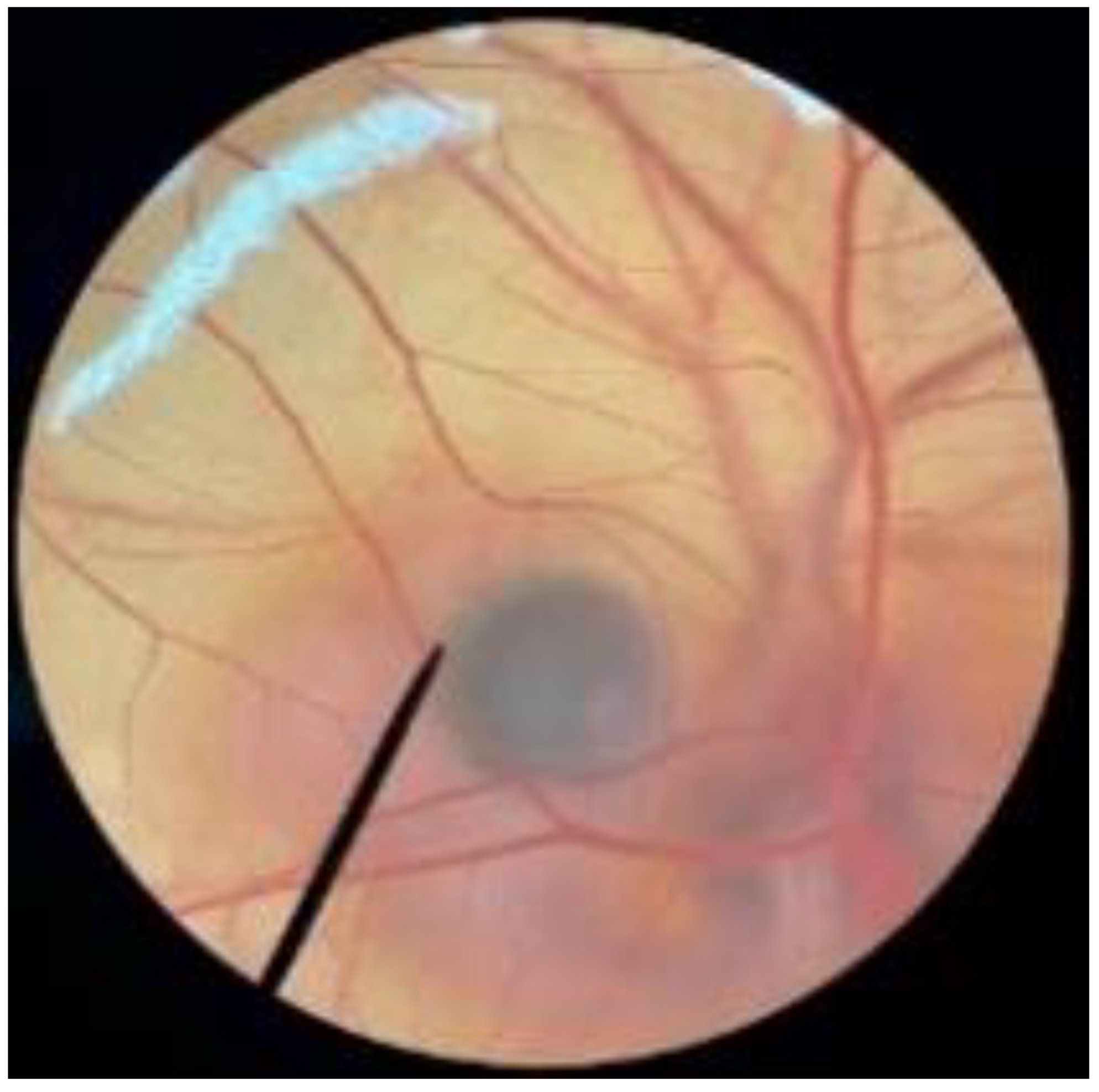 Polymers 14 04202 i012 Polymers 14 04202 i012