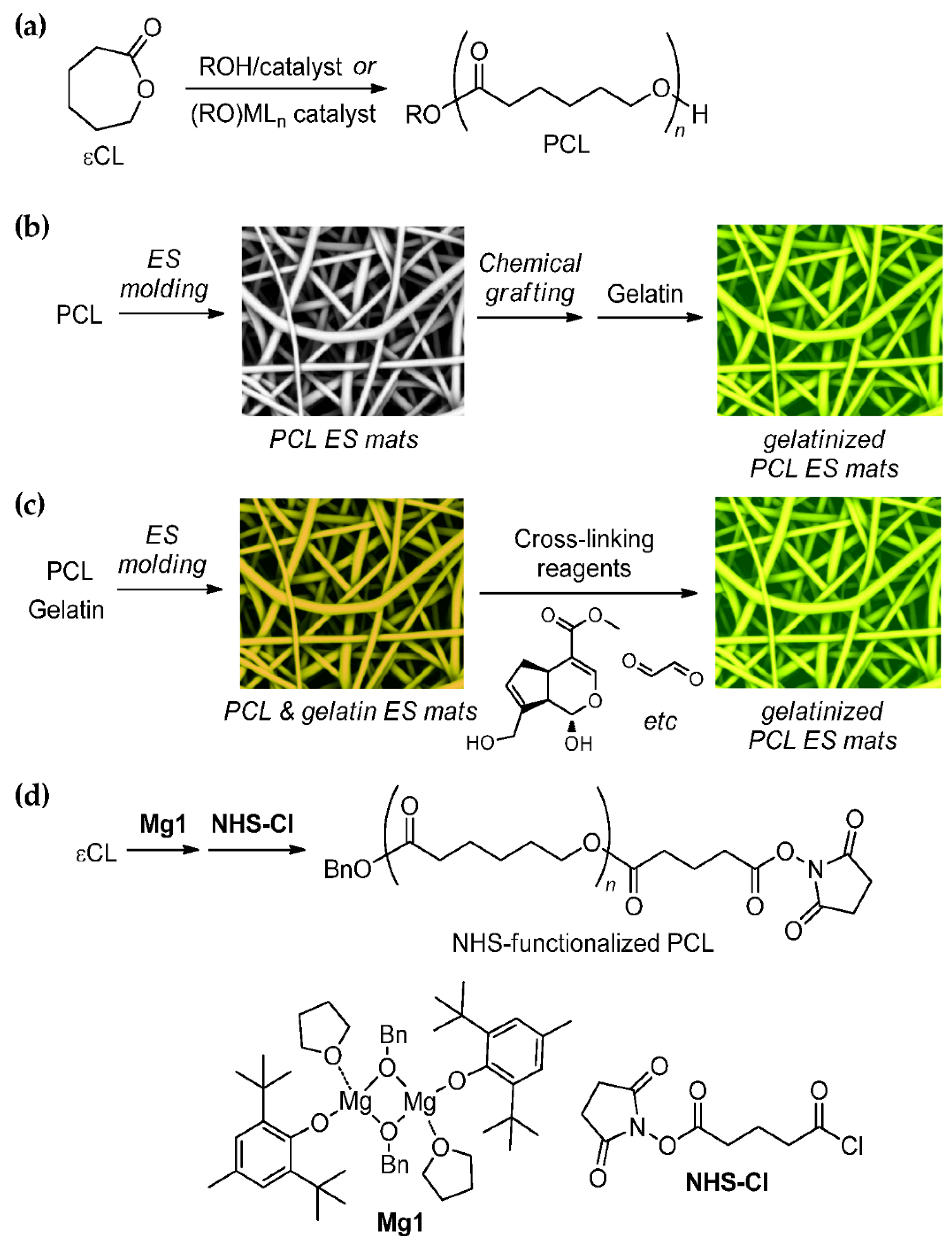 Polymers 14 04203 sch001
