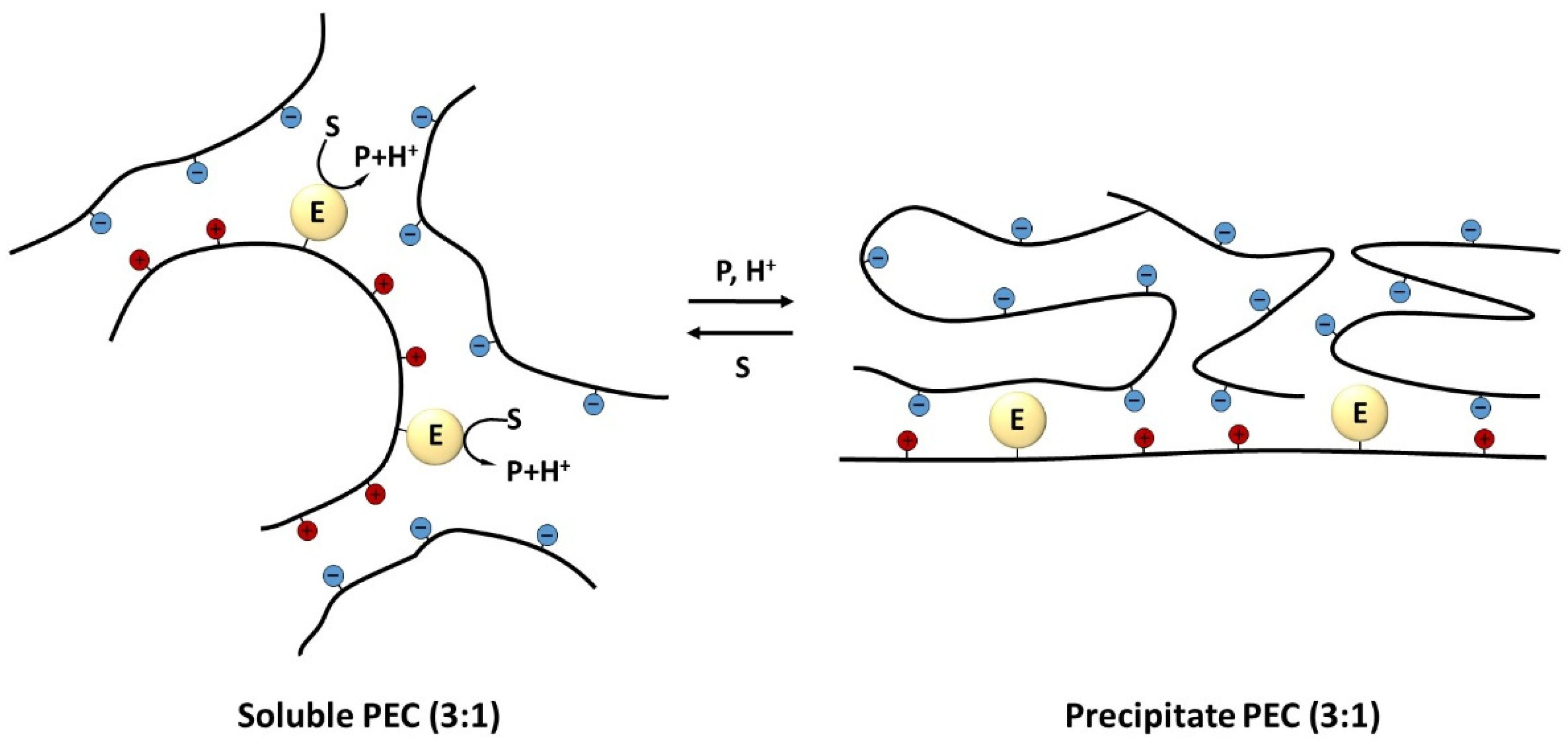 Polymers 14 04204 g001