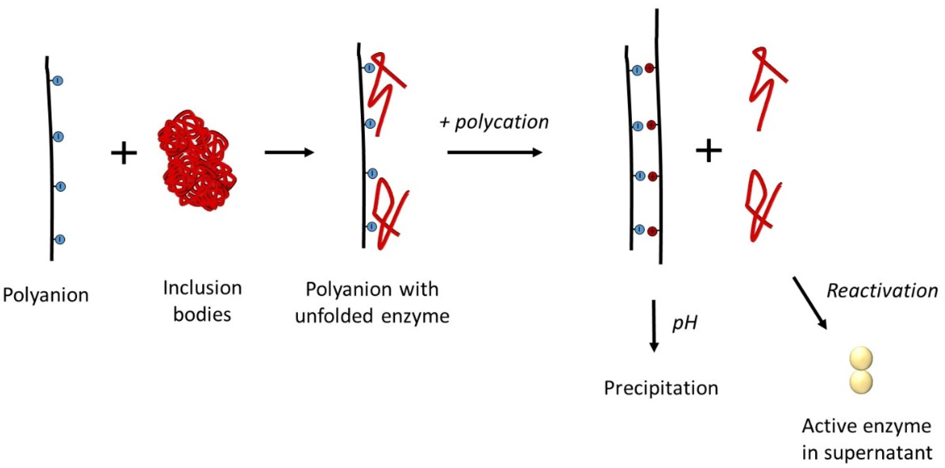 Polymers 14 04204 g002