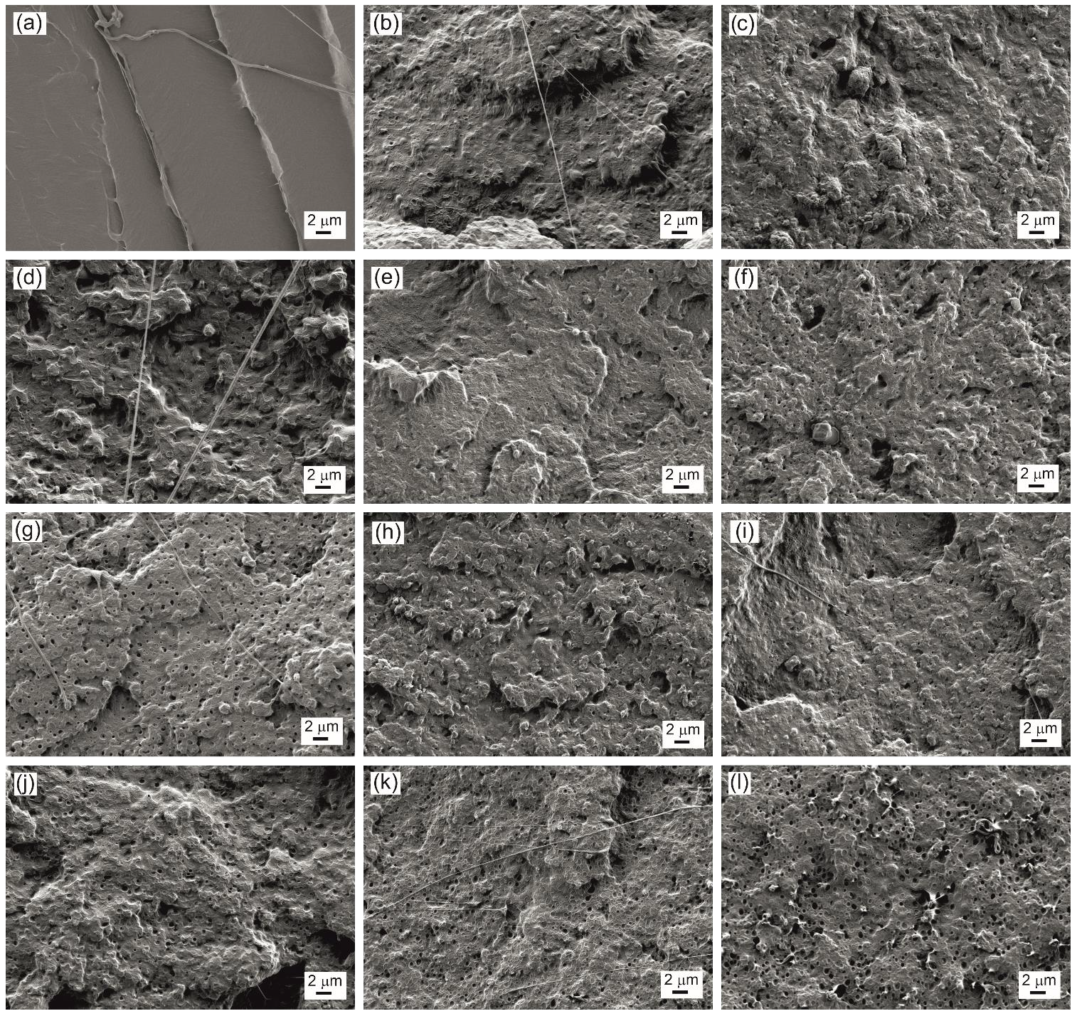 Polymers 14 04205 g005