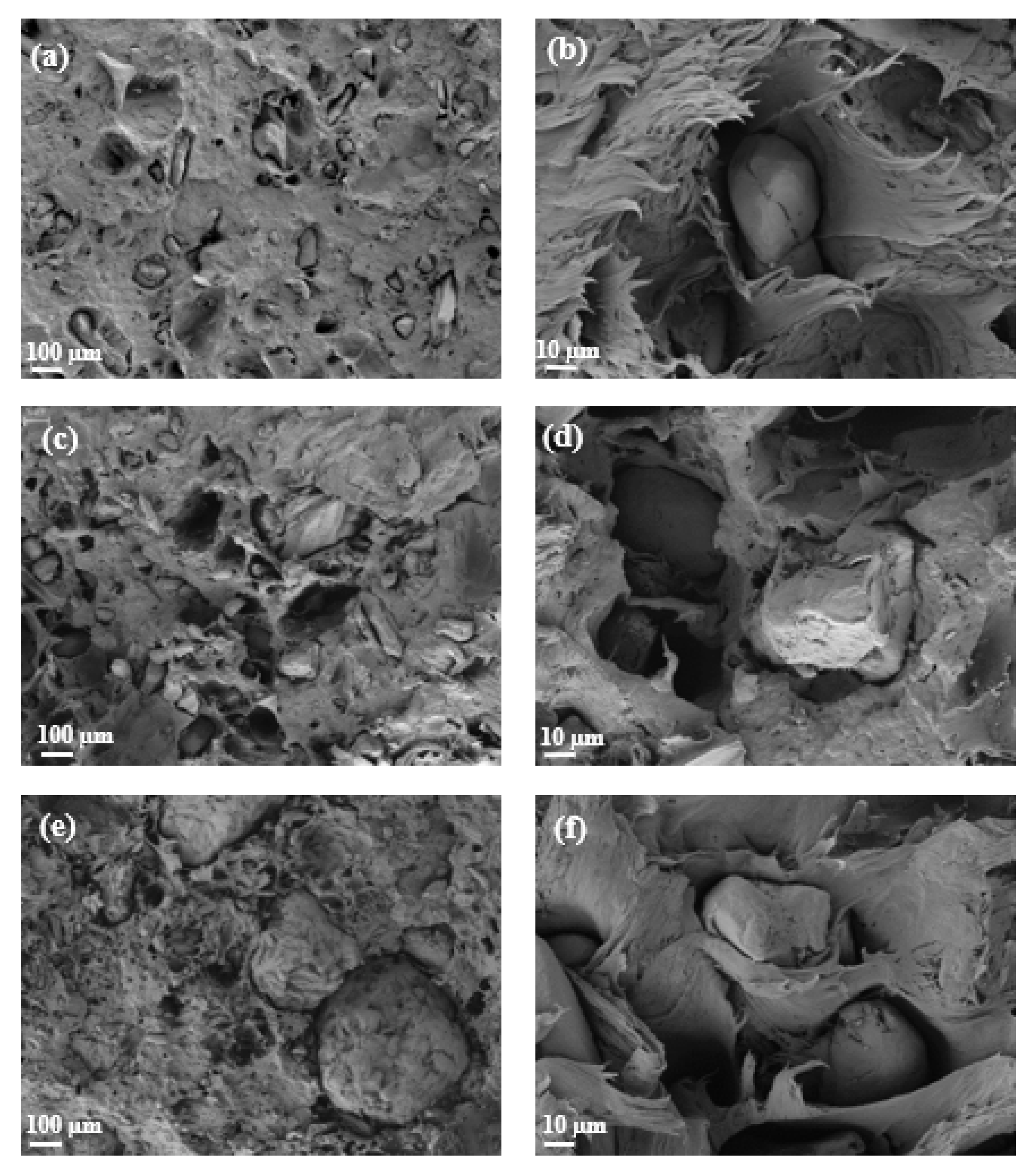 Polymers 14 04206 g018 Polymers 14 04206 g018
