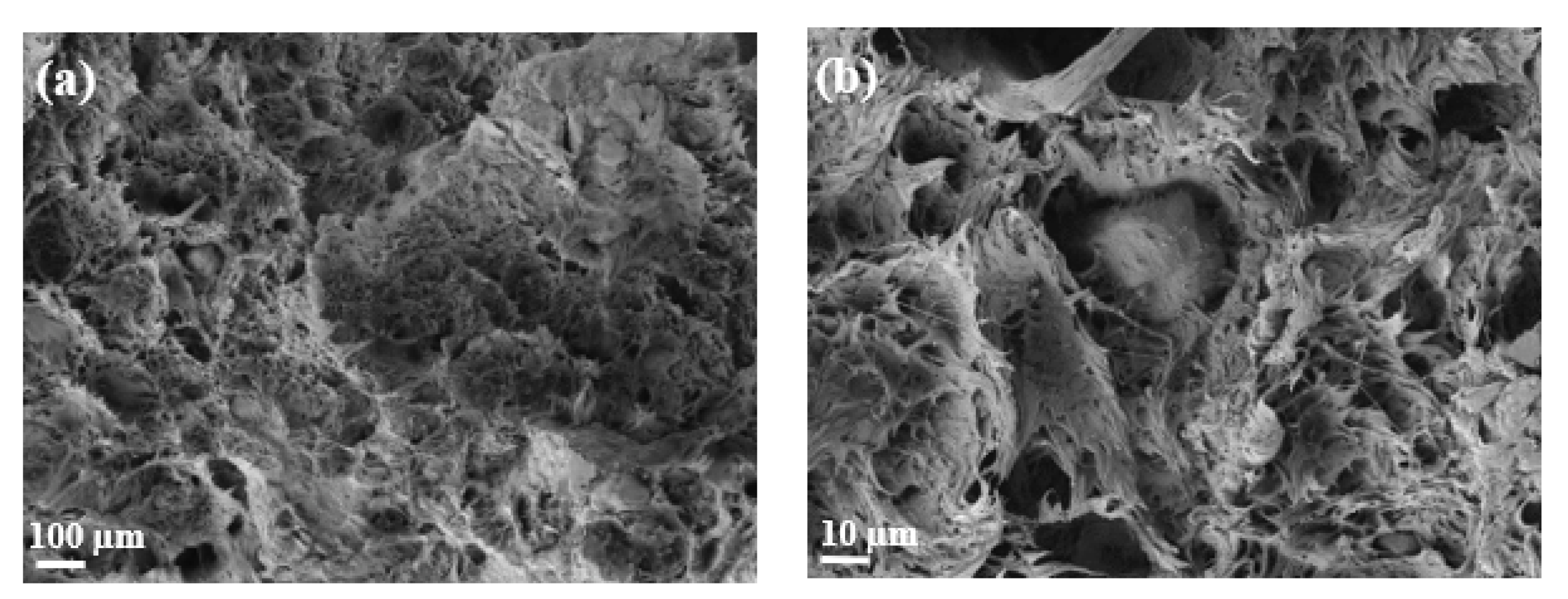 Polymers 14 04206 g019 Polymers 14 04206 g019