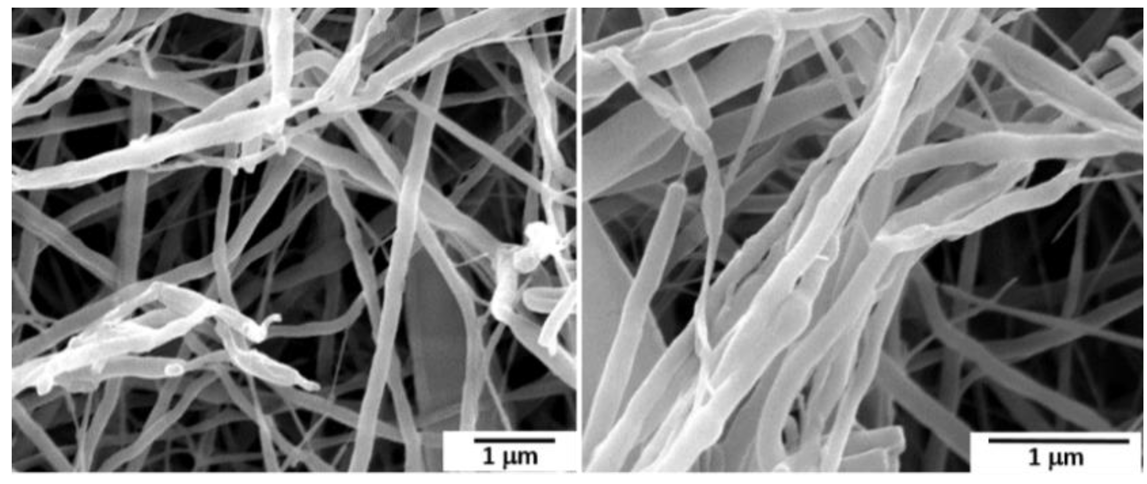 Polymers 14 04209 g004 Polymers 14 04209 g004