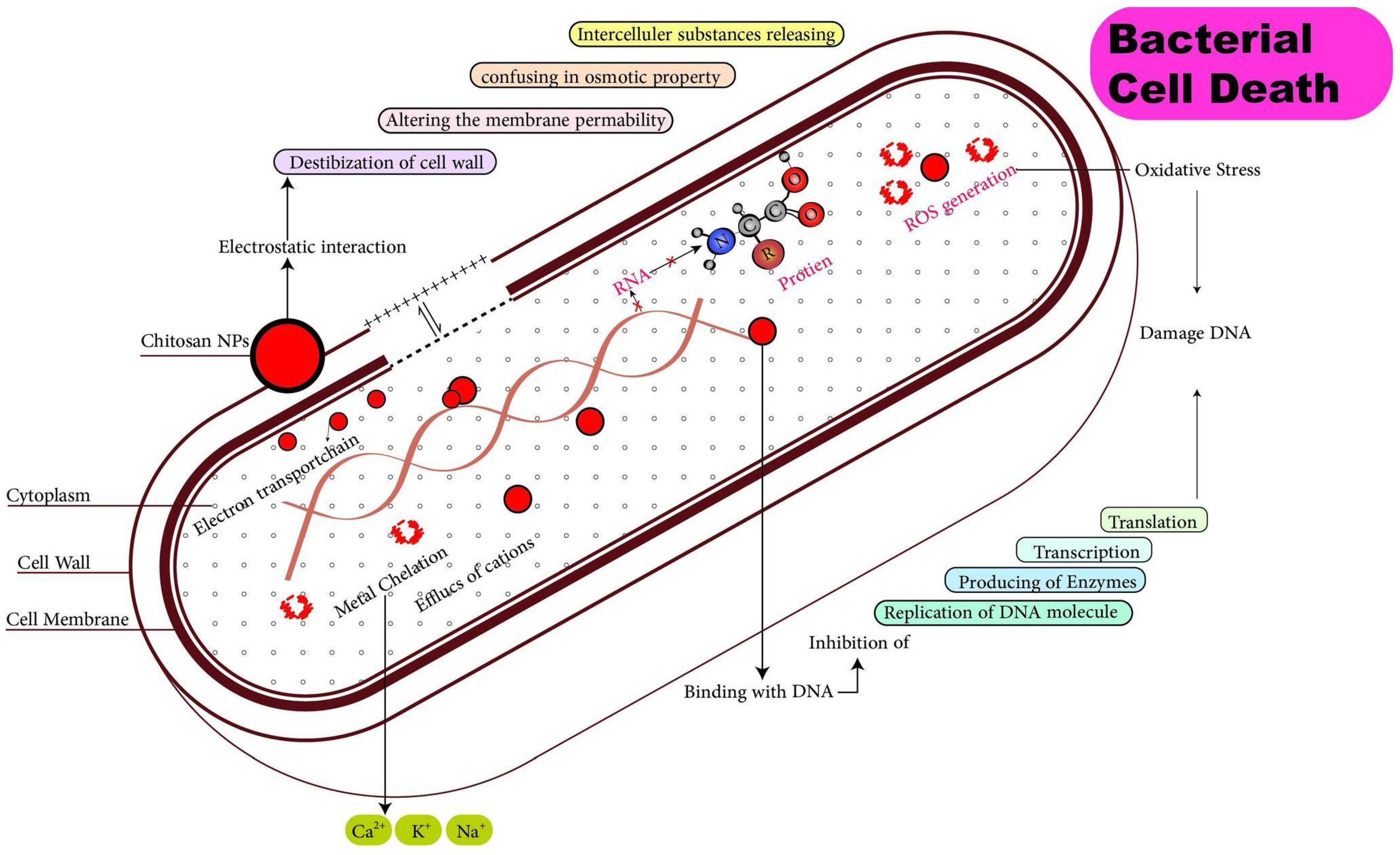 Polymers 14 04211 g009 Polymers 14 04211 g009