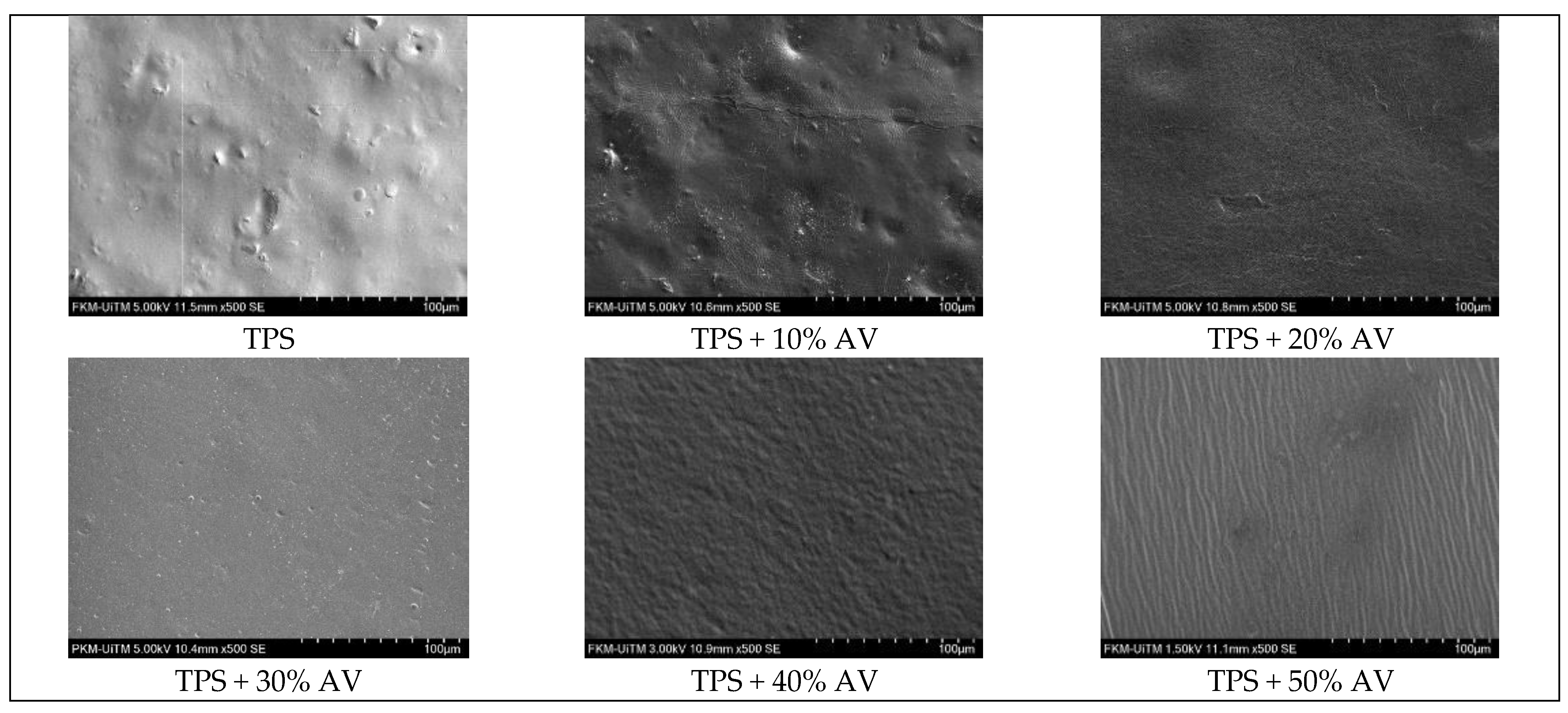 Polymers 14 04213 g007