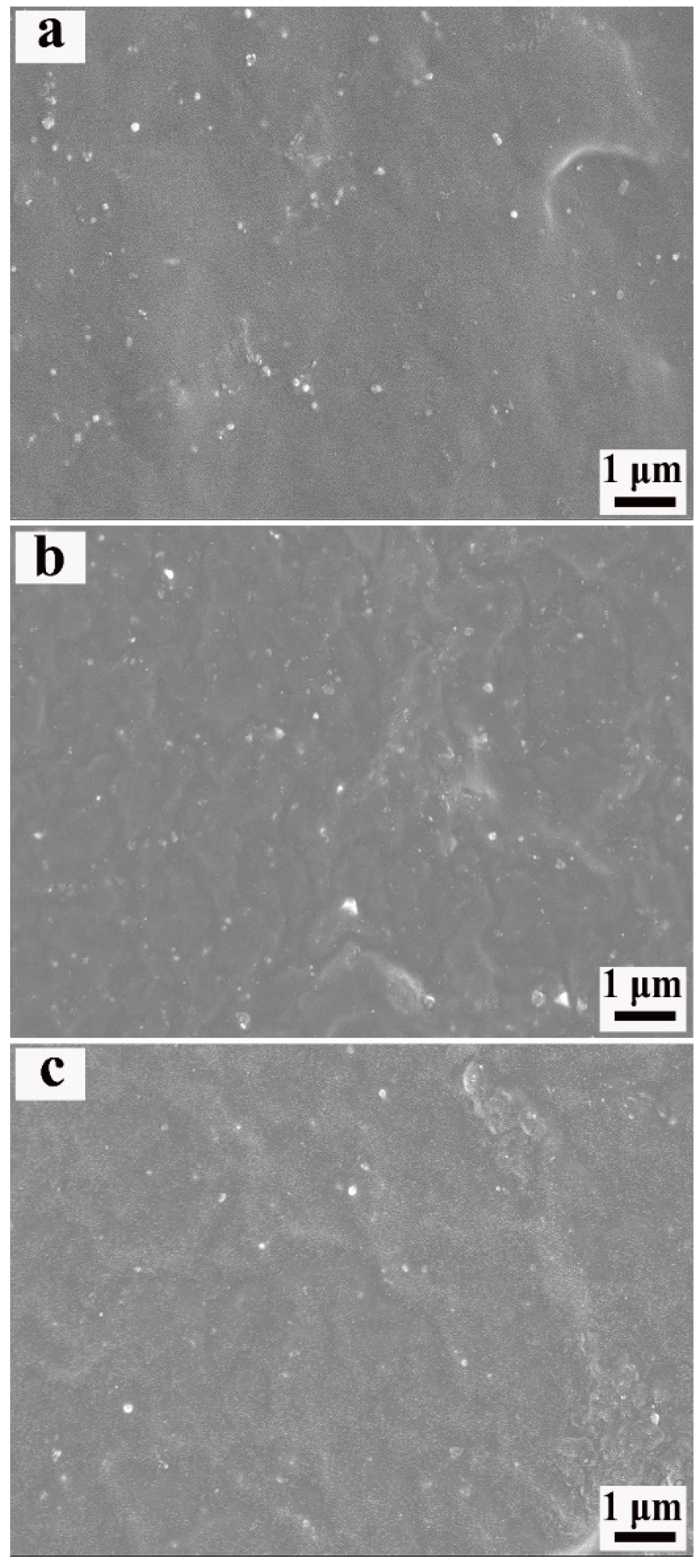 Polymers 14 04218 g007 Polymers 14 04218 g007