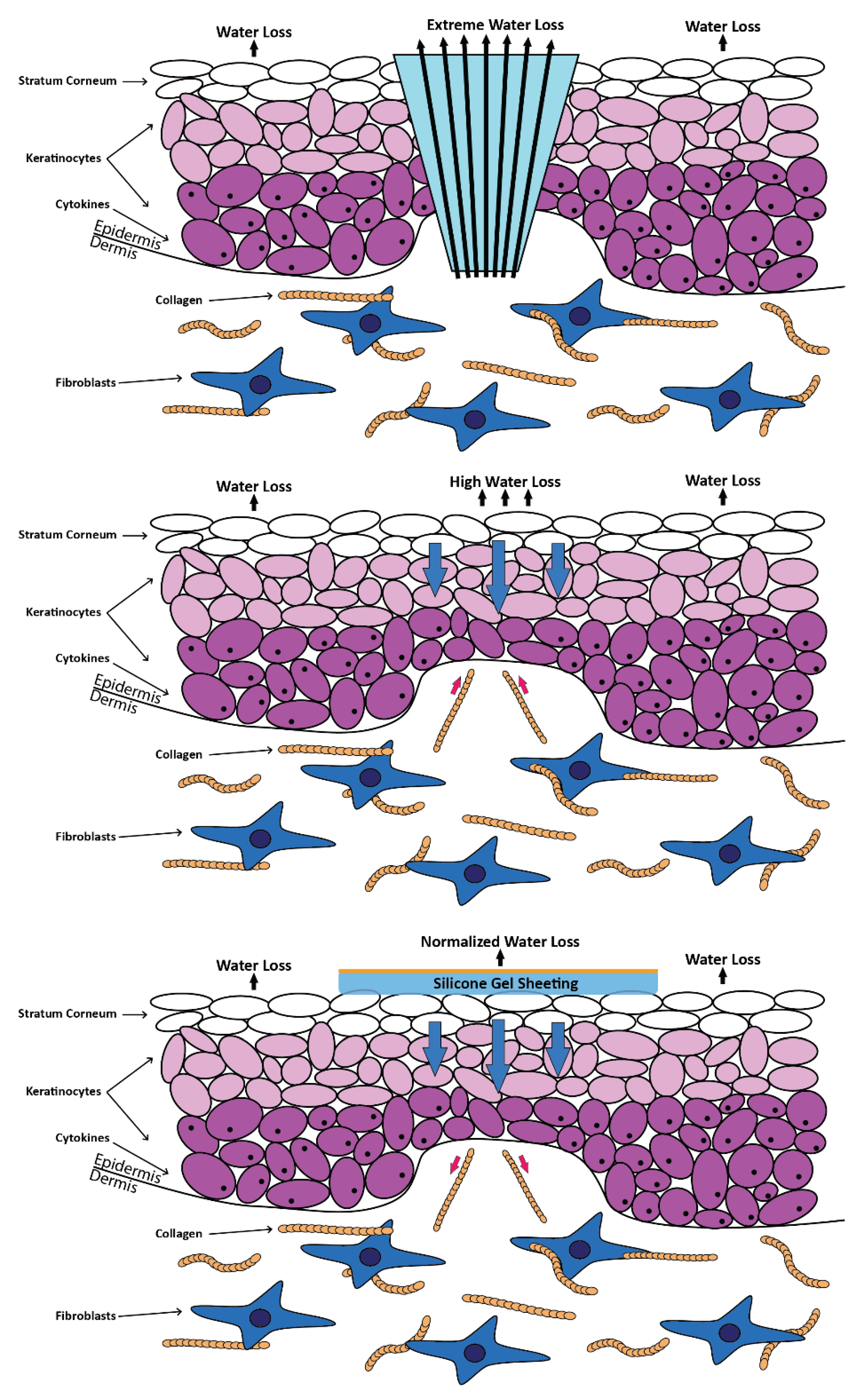 Polymers 14 04219 g005