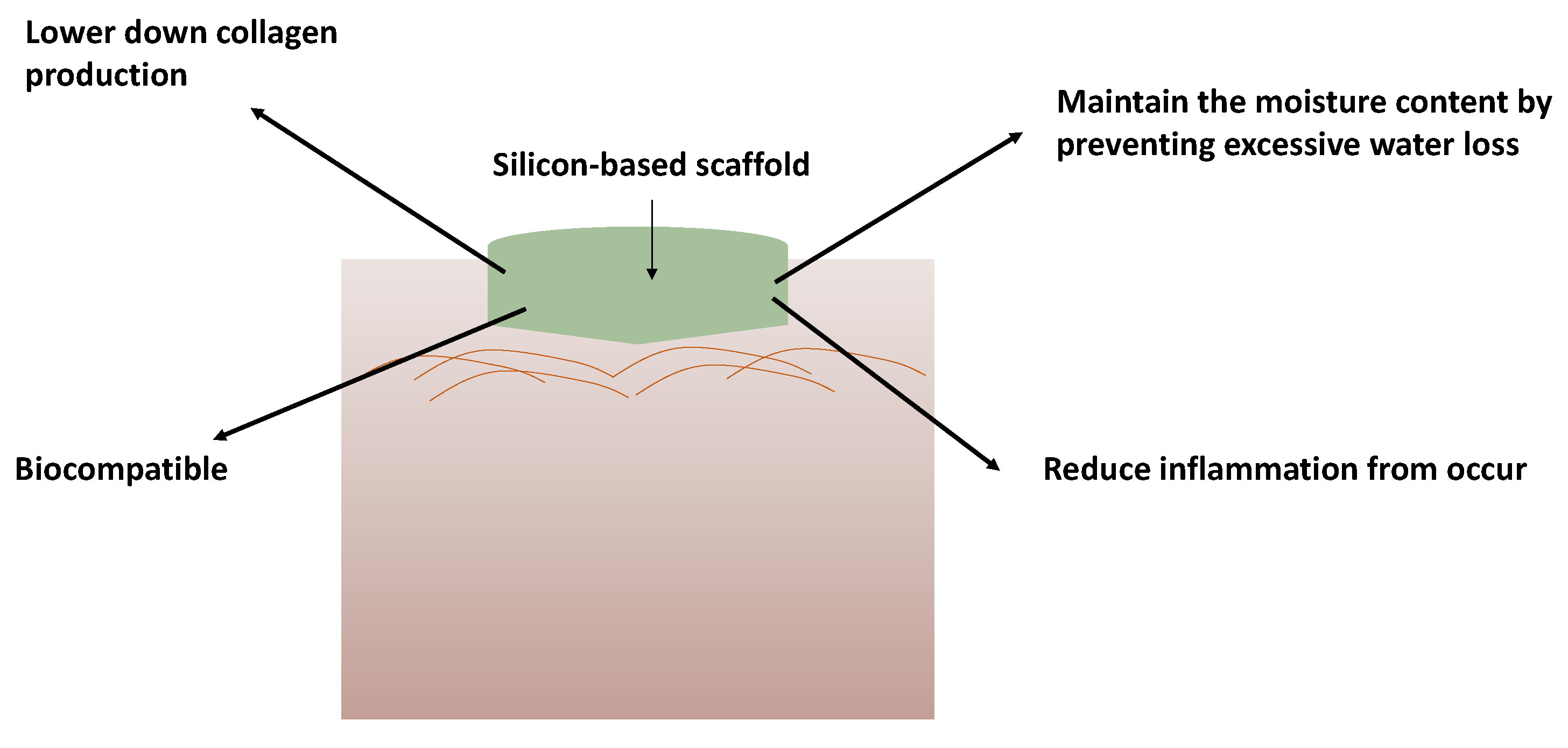 Polymers 14 04219 g006