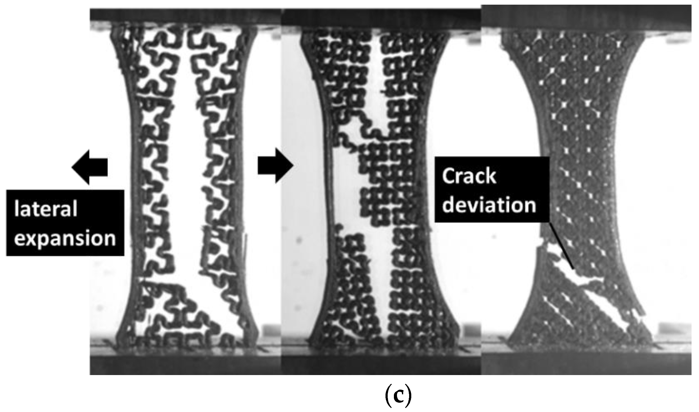 Polymers 14 04221 g003b