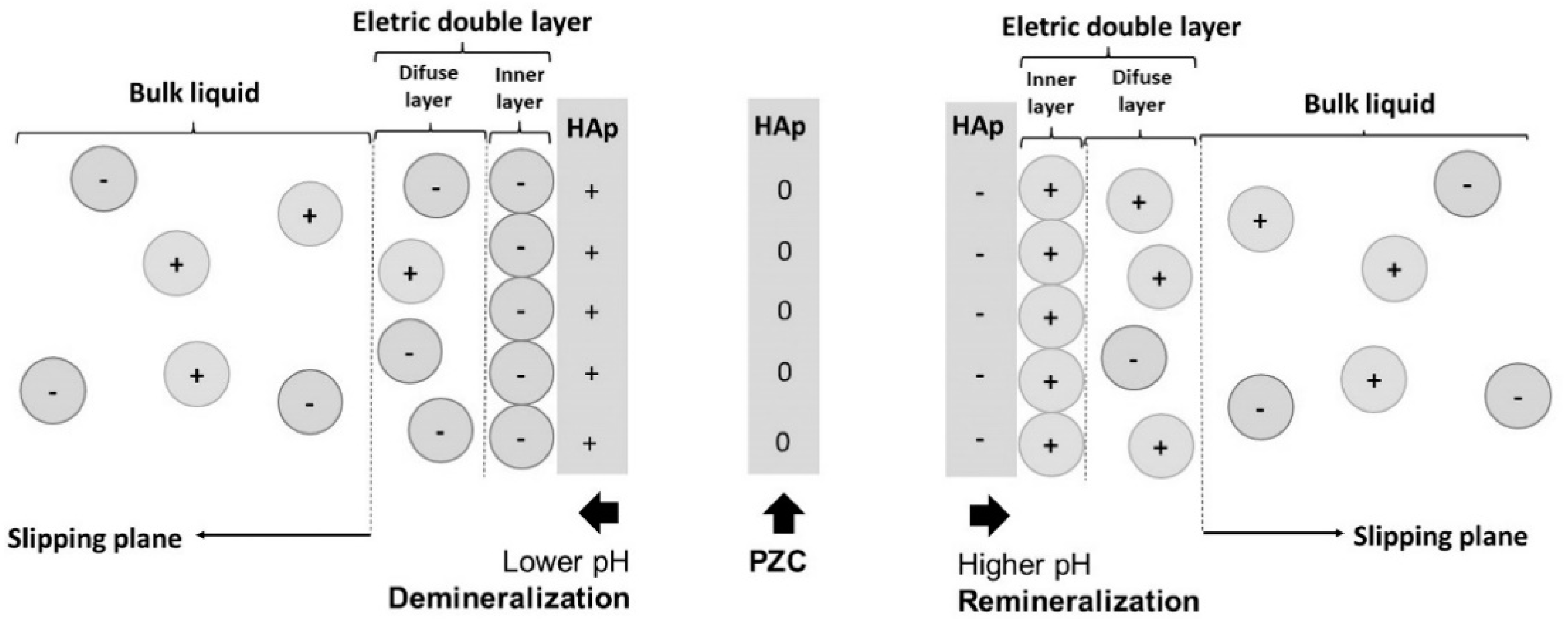 Polymers 14 04225 g004