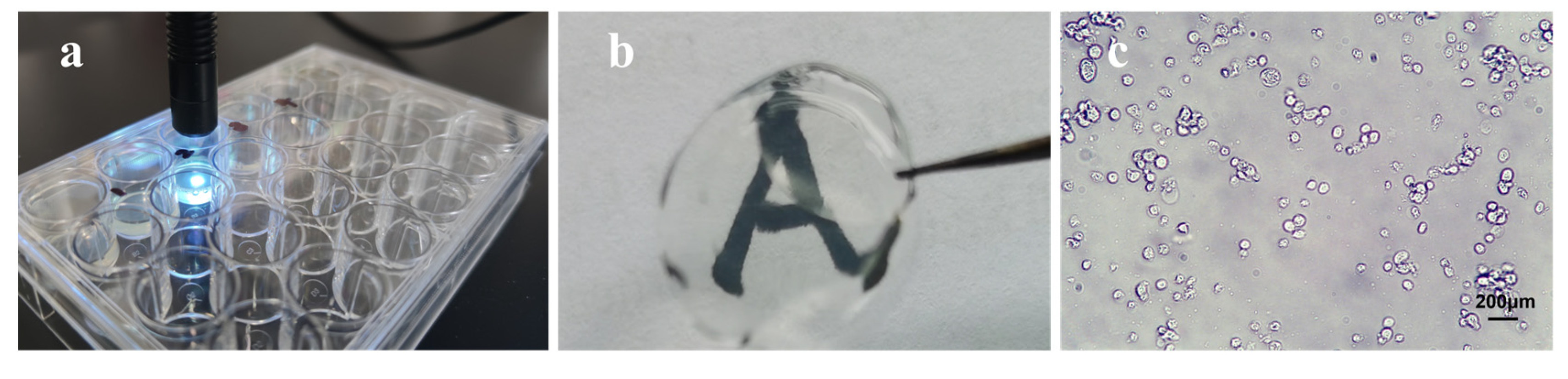 Polymers 14 04227 g002 Polymers 14 04227 g002