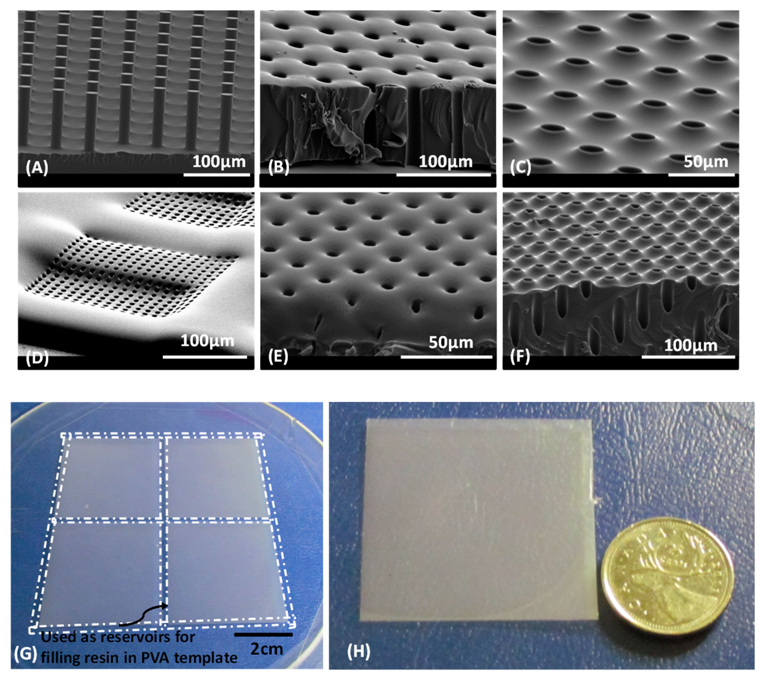 Polymers 14 04228 g002