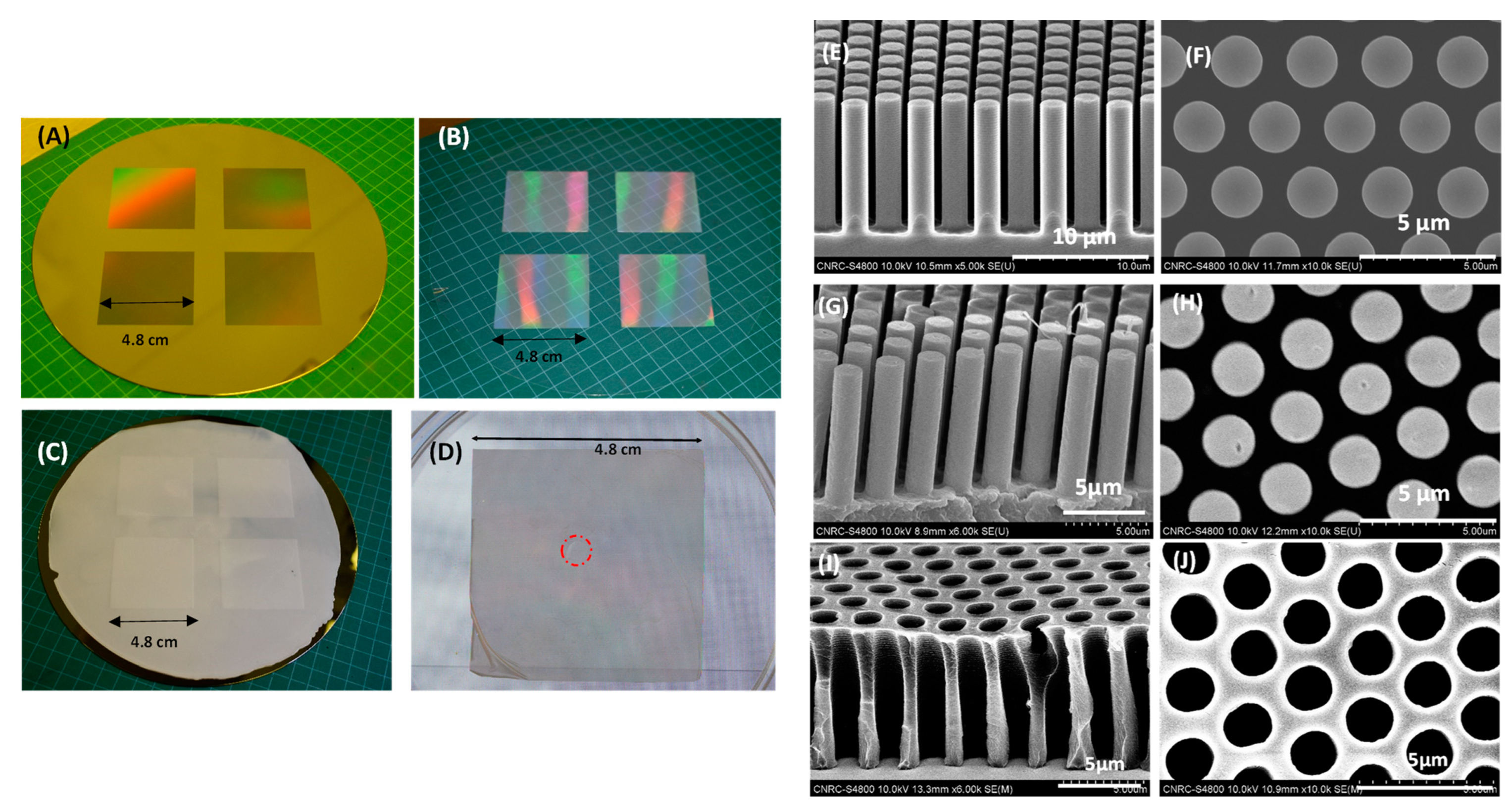Polymers 14 04228 g004