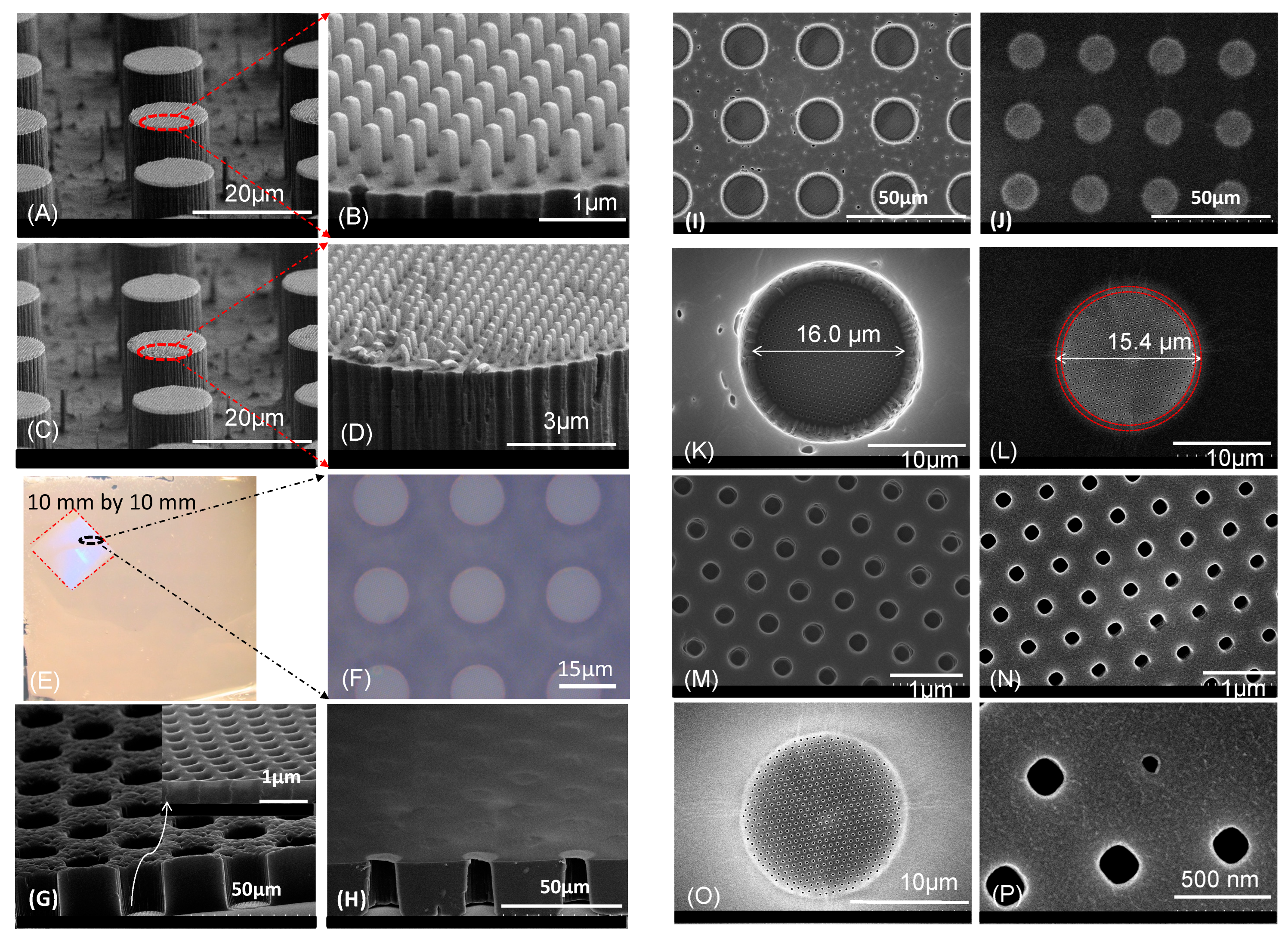 Polymers 14 04228 g005