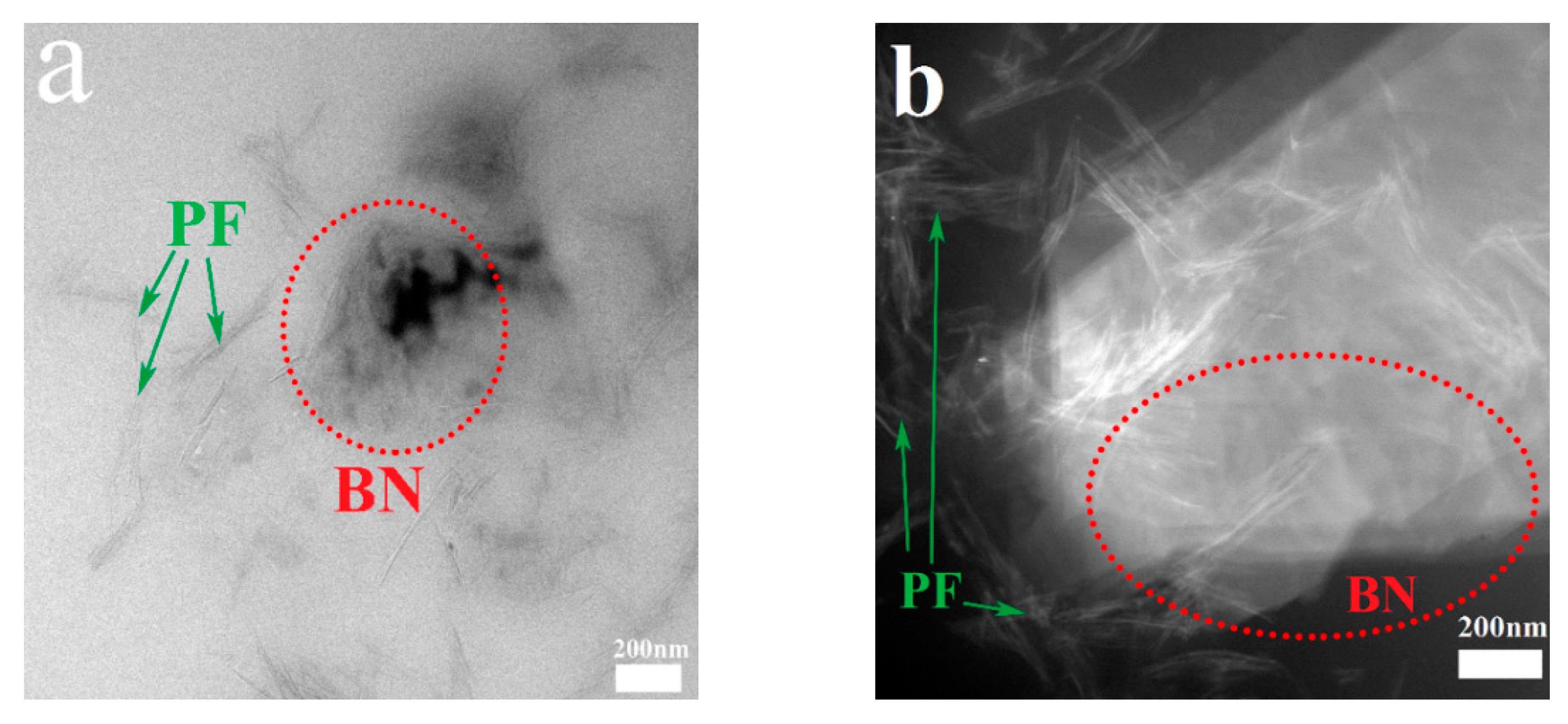 Polymers 14 04230 g003 Polymers 14 04230 g003