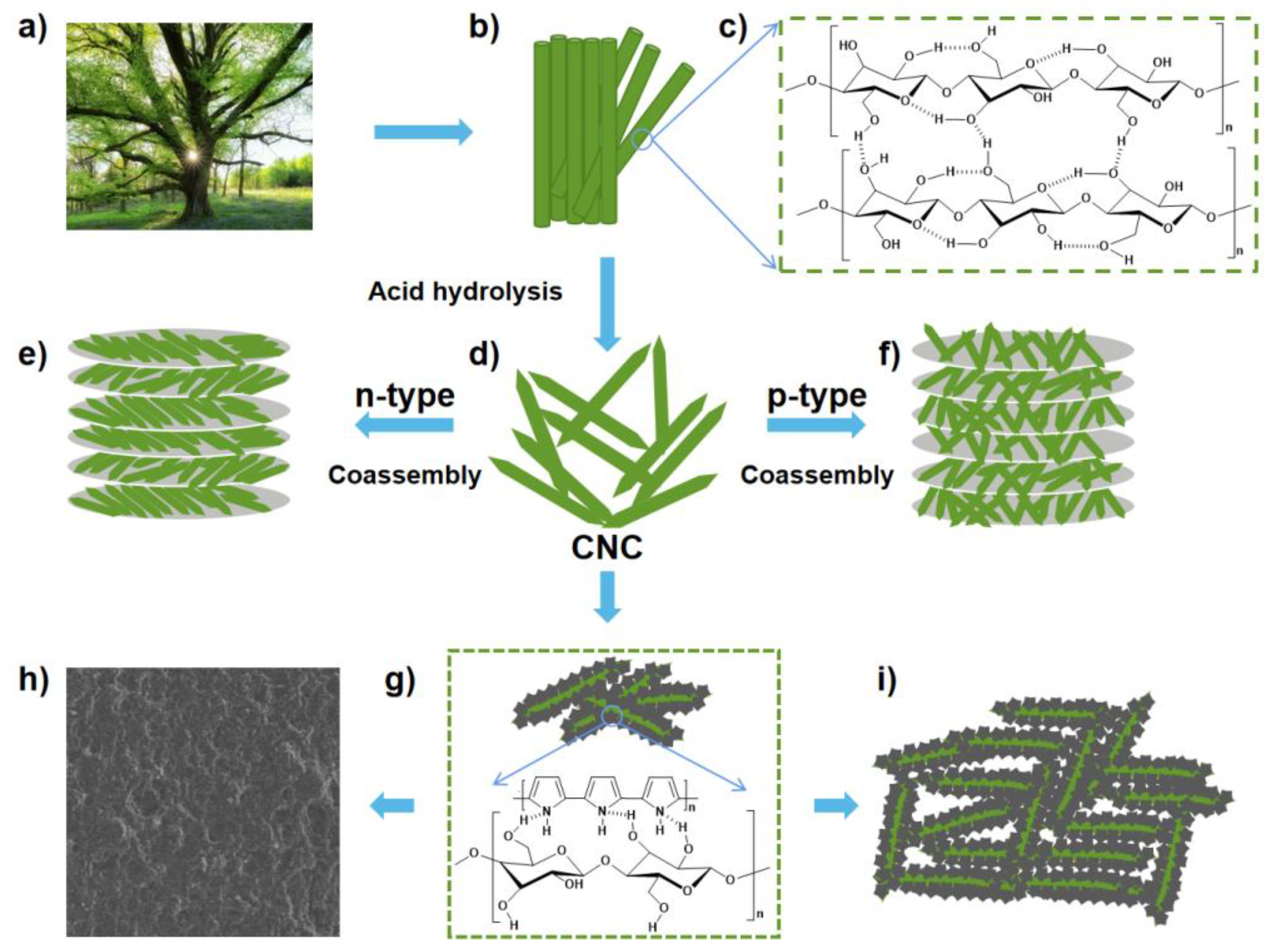 Polymers 14 04231 g003