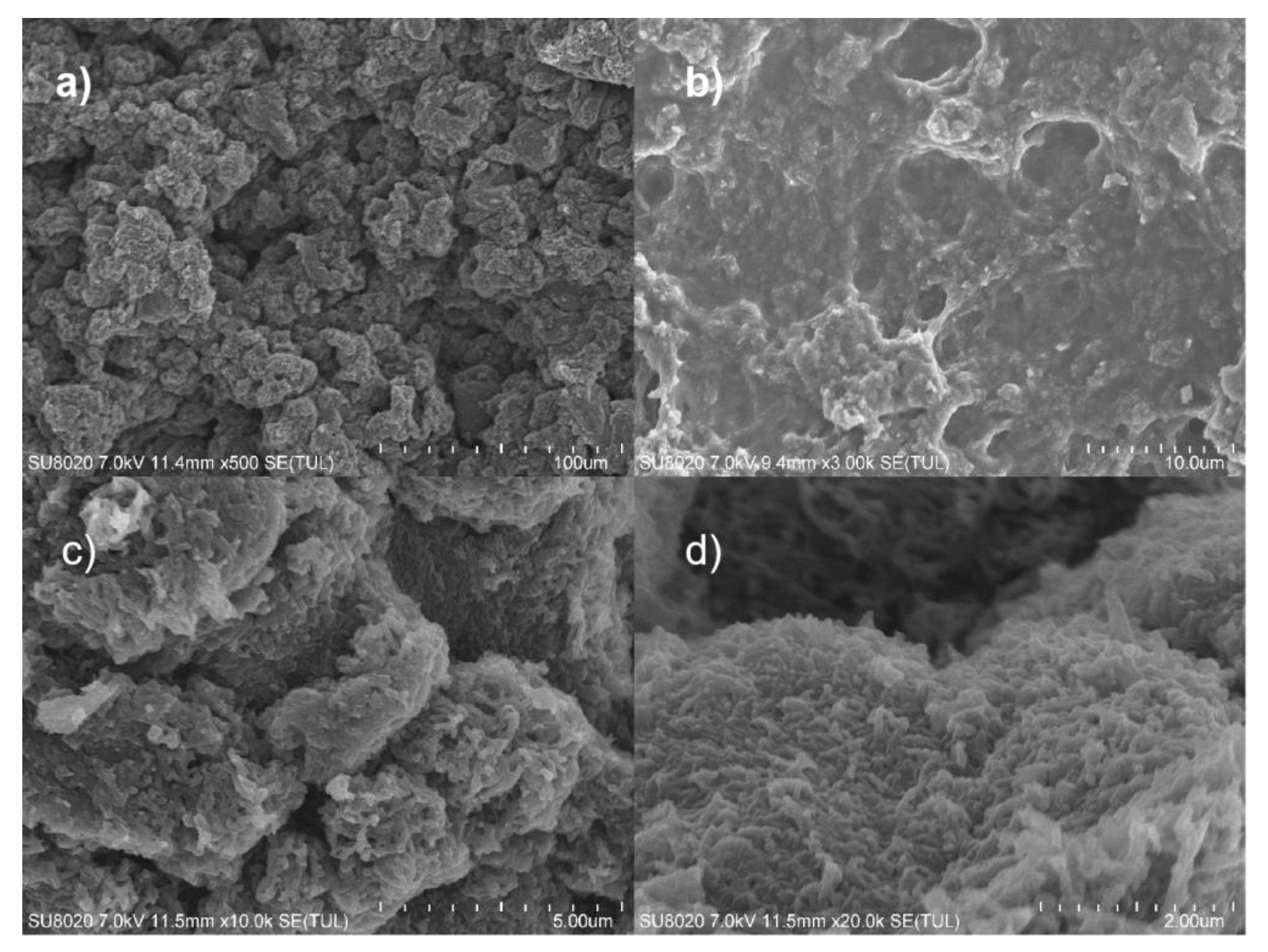 Polymers 14 04231 g005