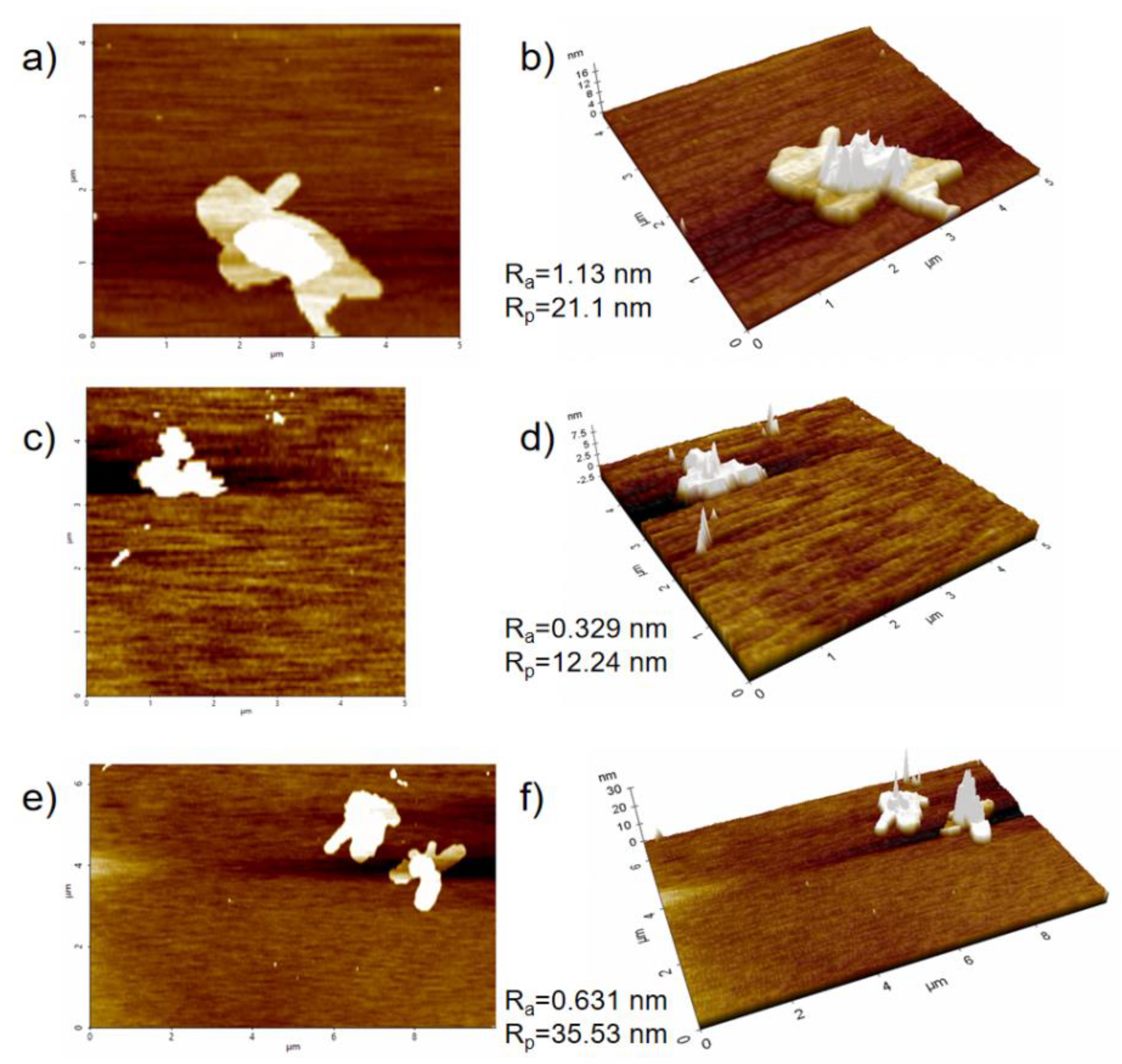 Polymers 14 04231 g006
