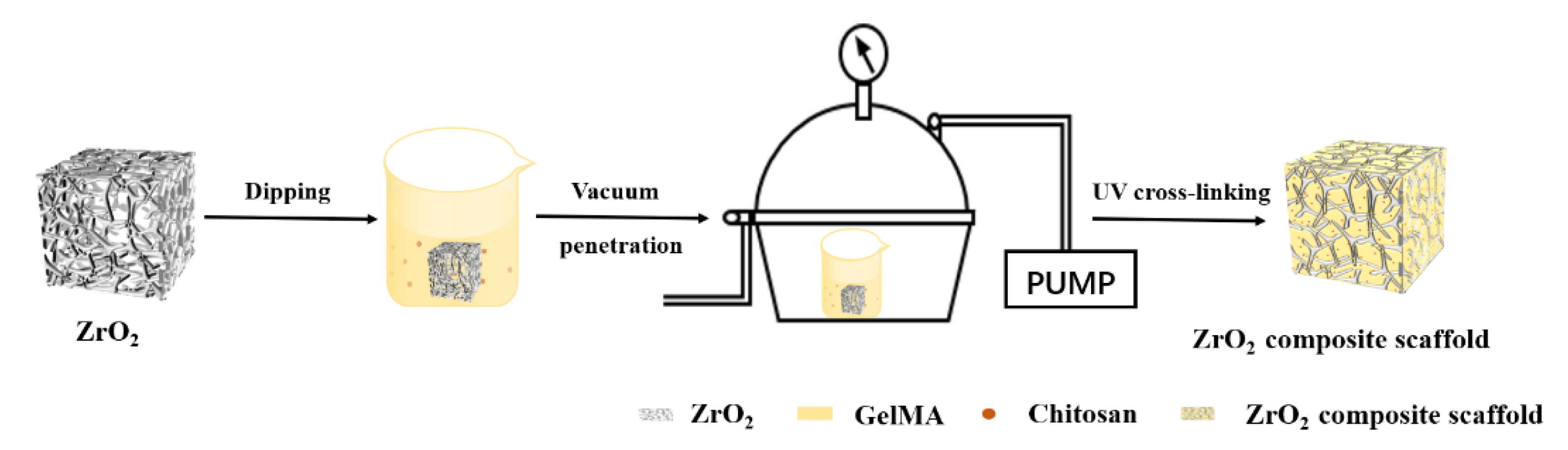 Polymers 14 04233 g001