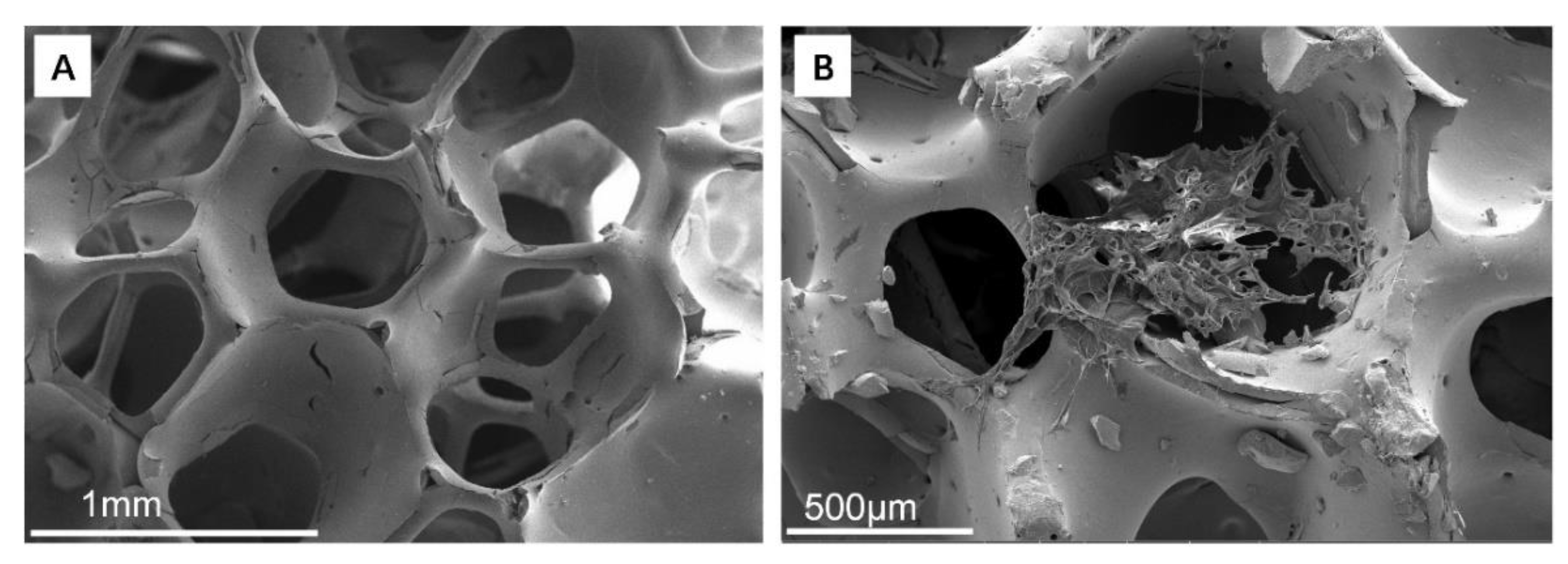 Polymers 14 04233 g003