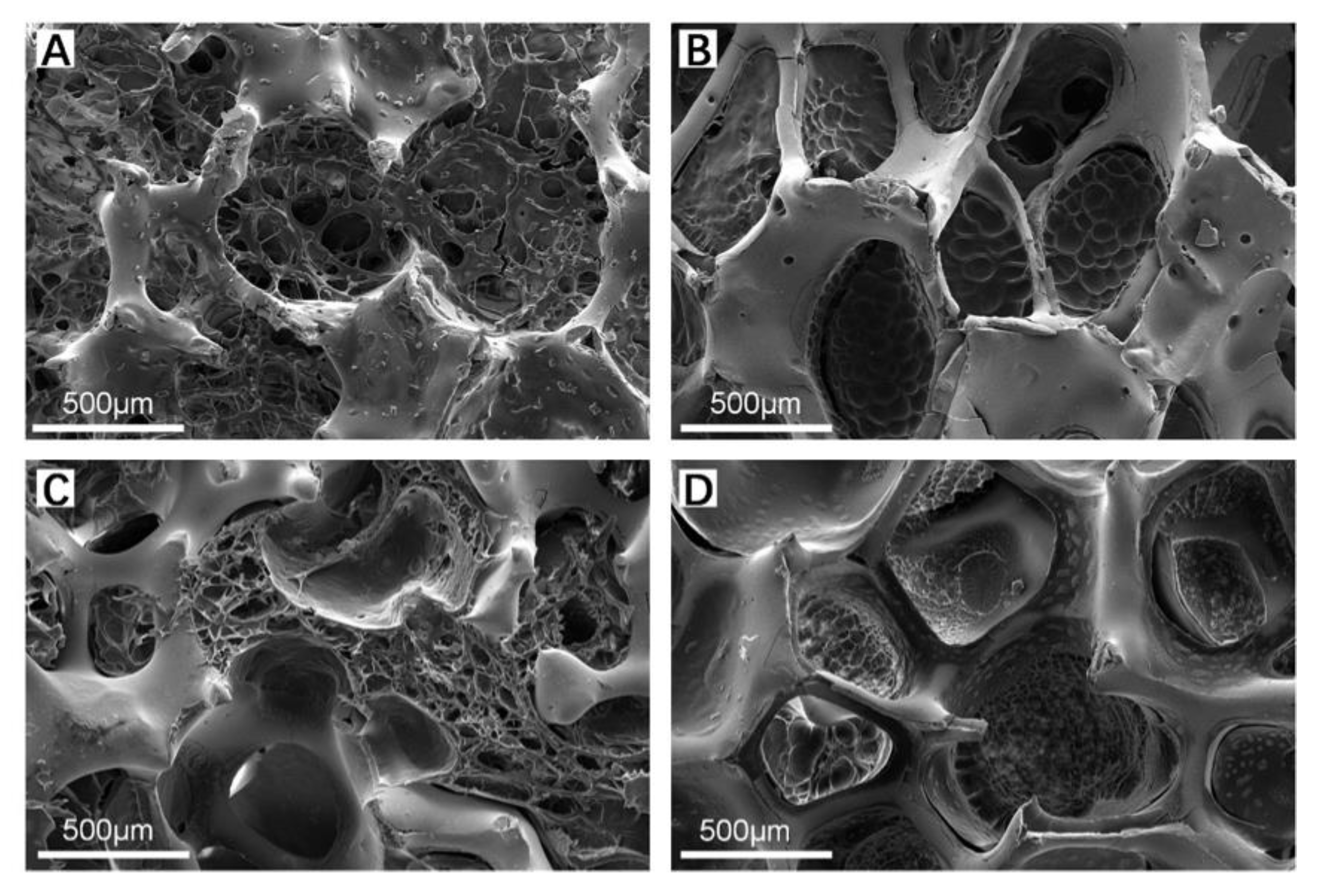 Polymers 14 04233 g004