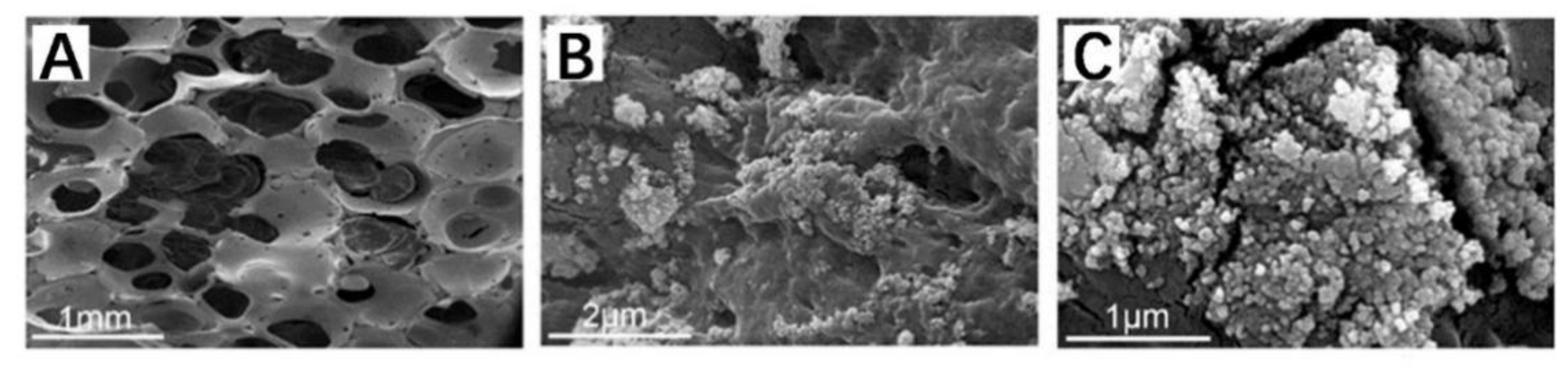 Polymers 14 04233 g005