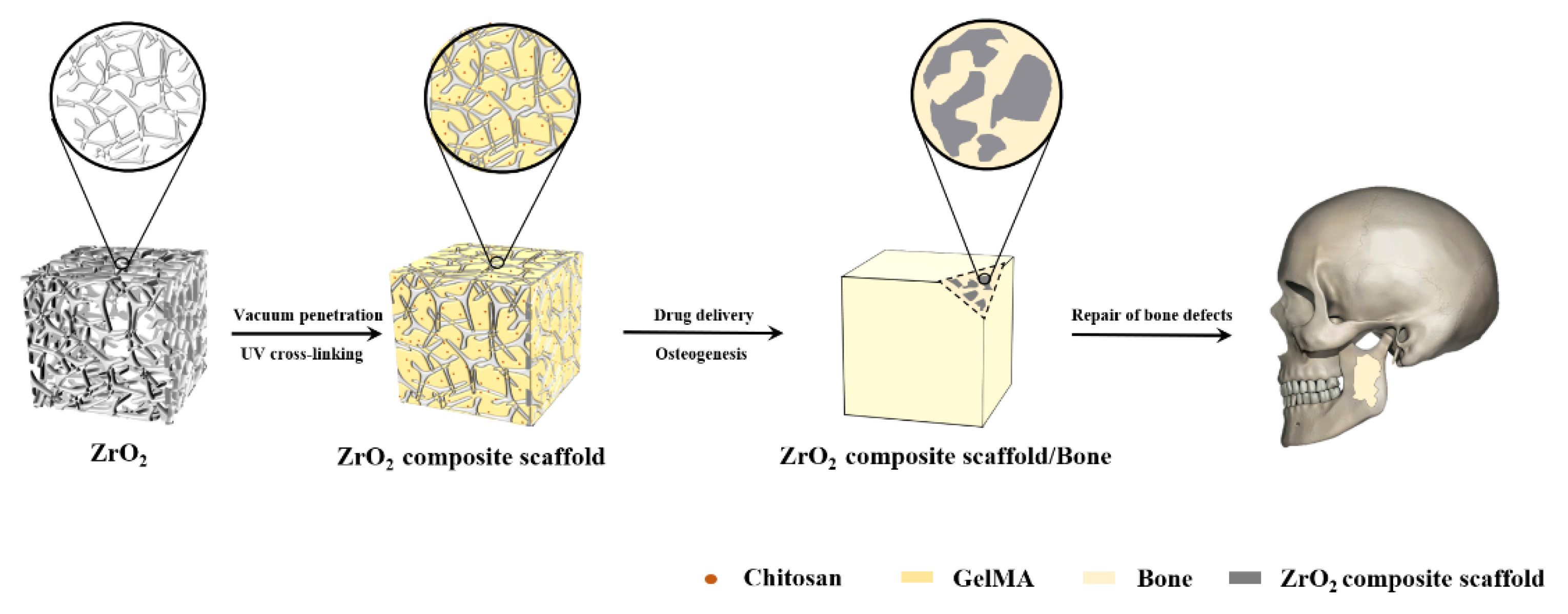 Polymers 14 04233 g010
