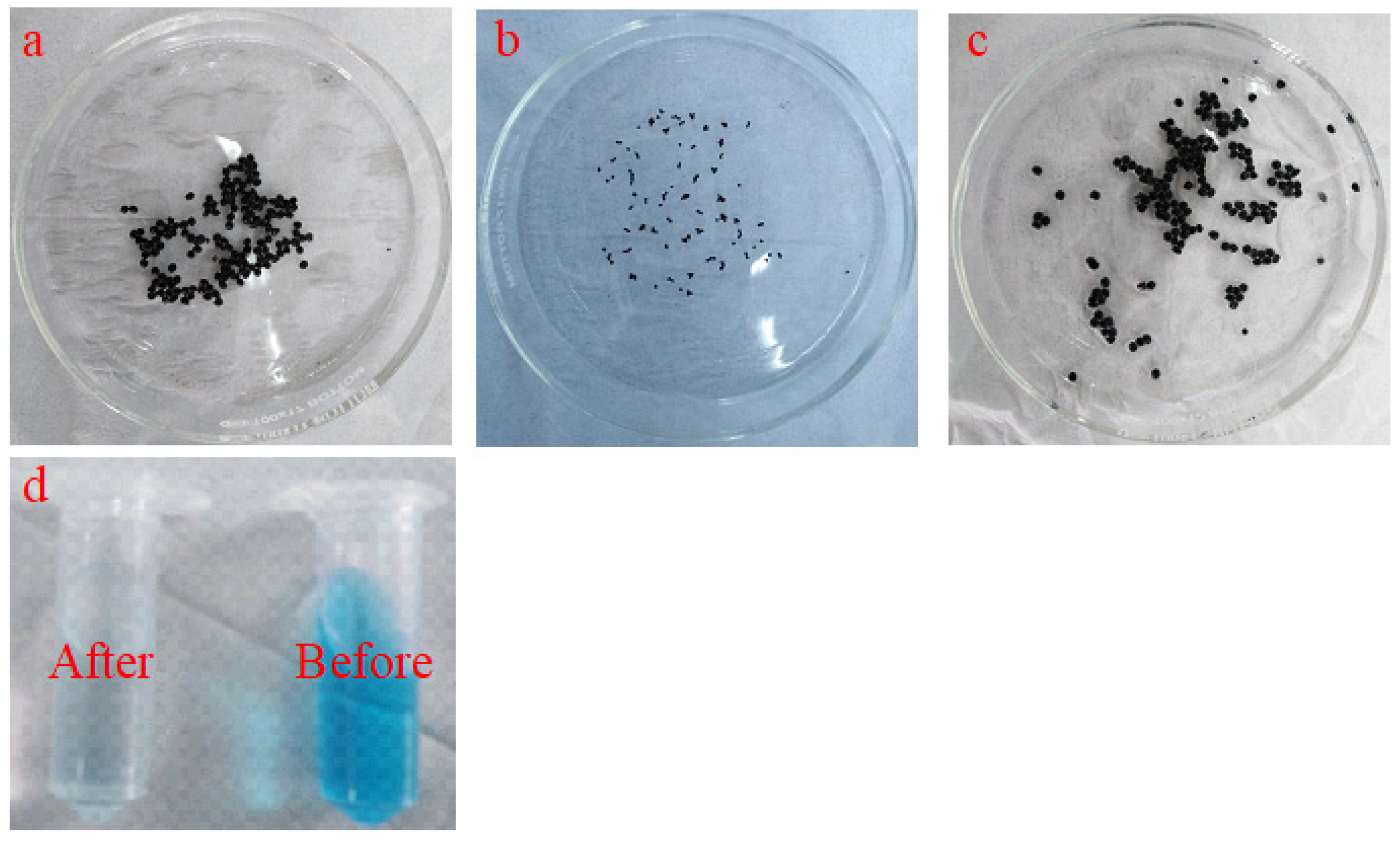 Polymers 14 04236 g002