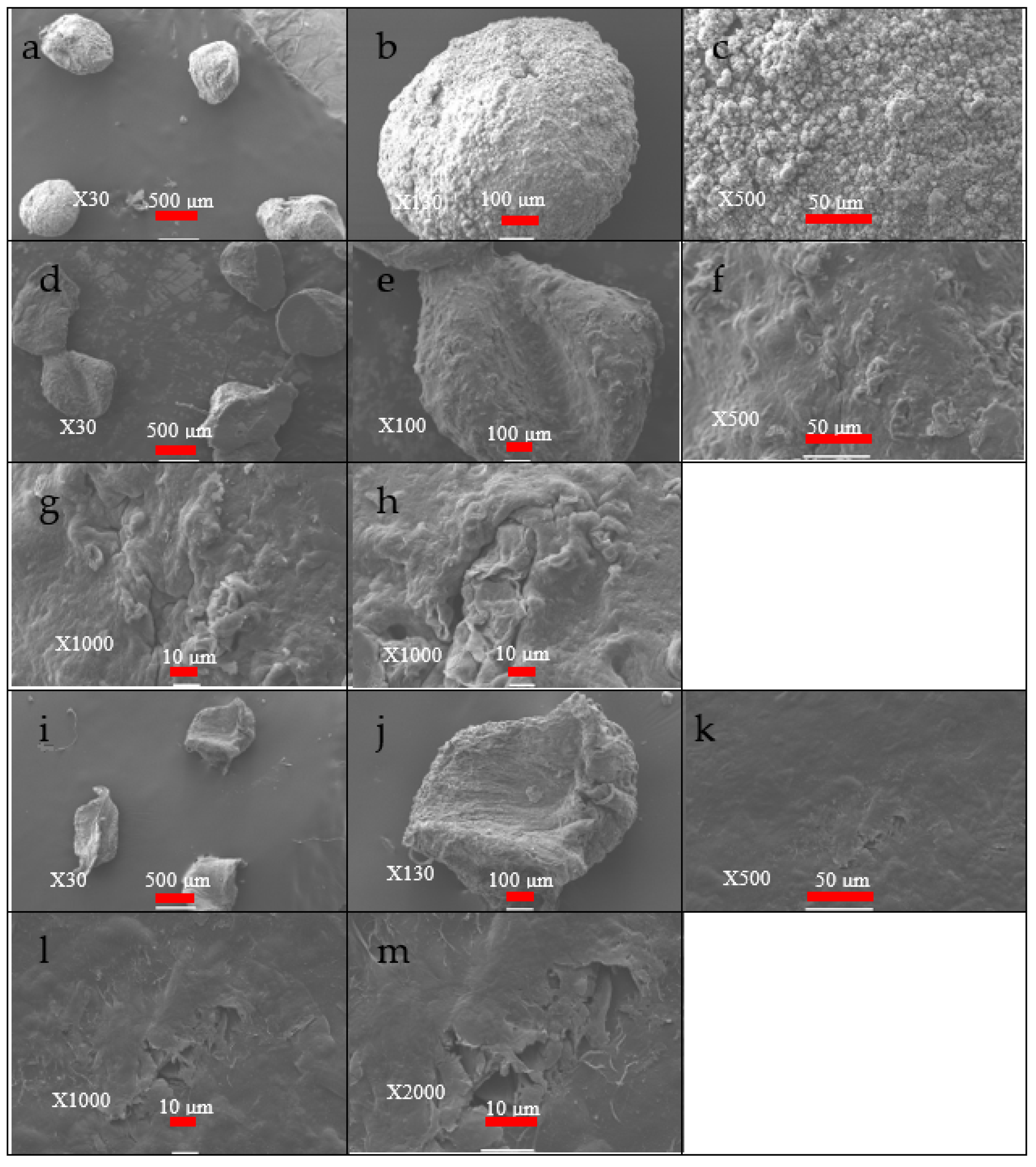Polymers 14 04236 g003