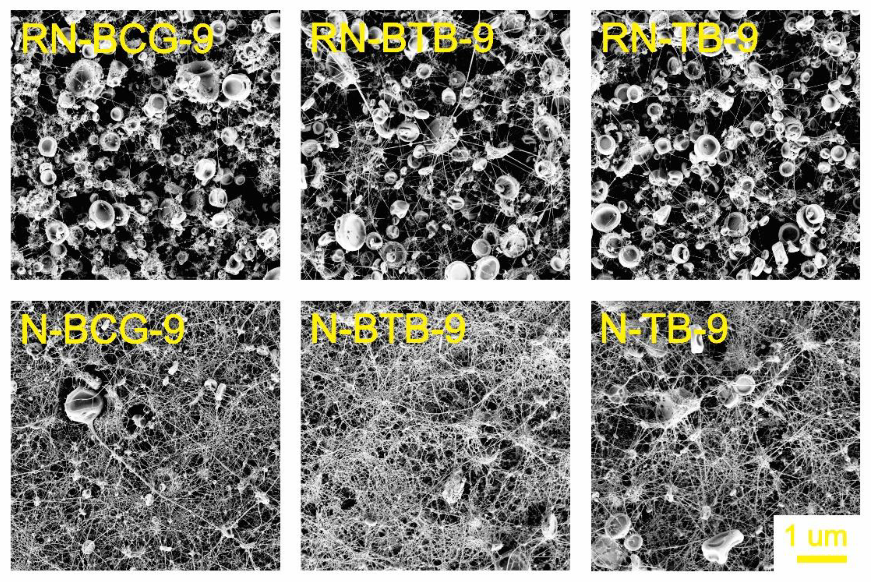 Polymers 14 04239 g003