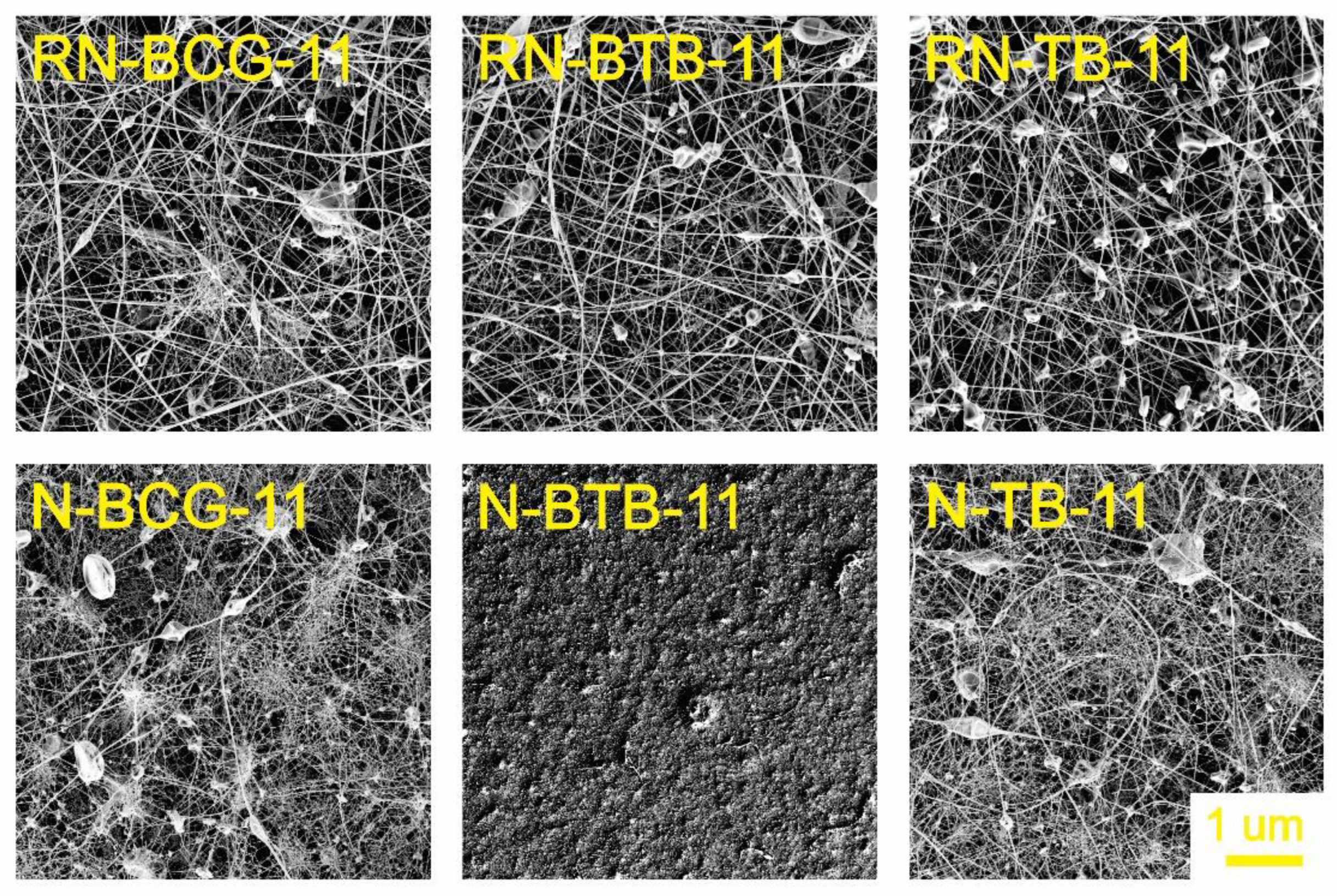 Polymers 14 04239 g004