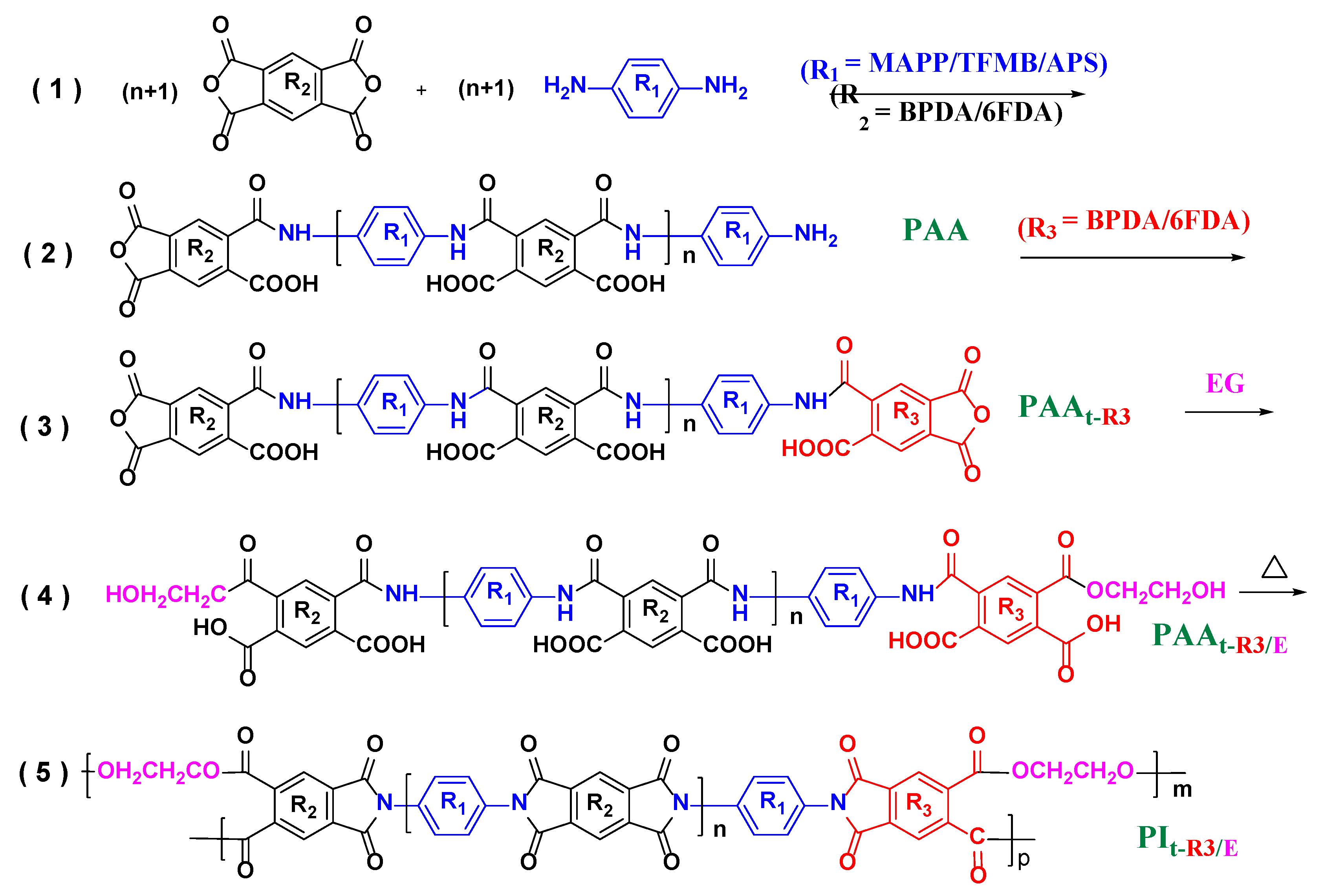 Polymers 14 04242 sch002 Polymers 14 04242 sch002