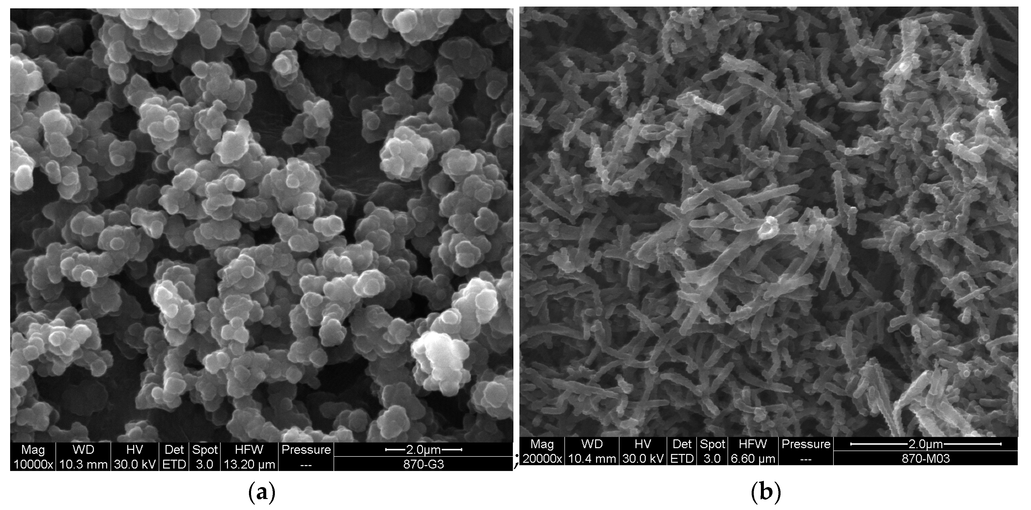 Polymers 14 04243 g005 Polymers 14 04243 g005