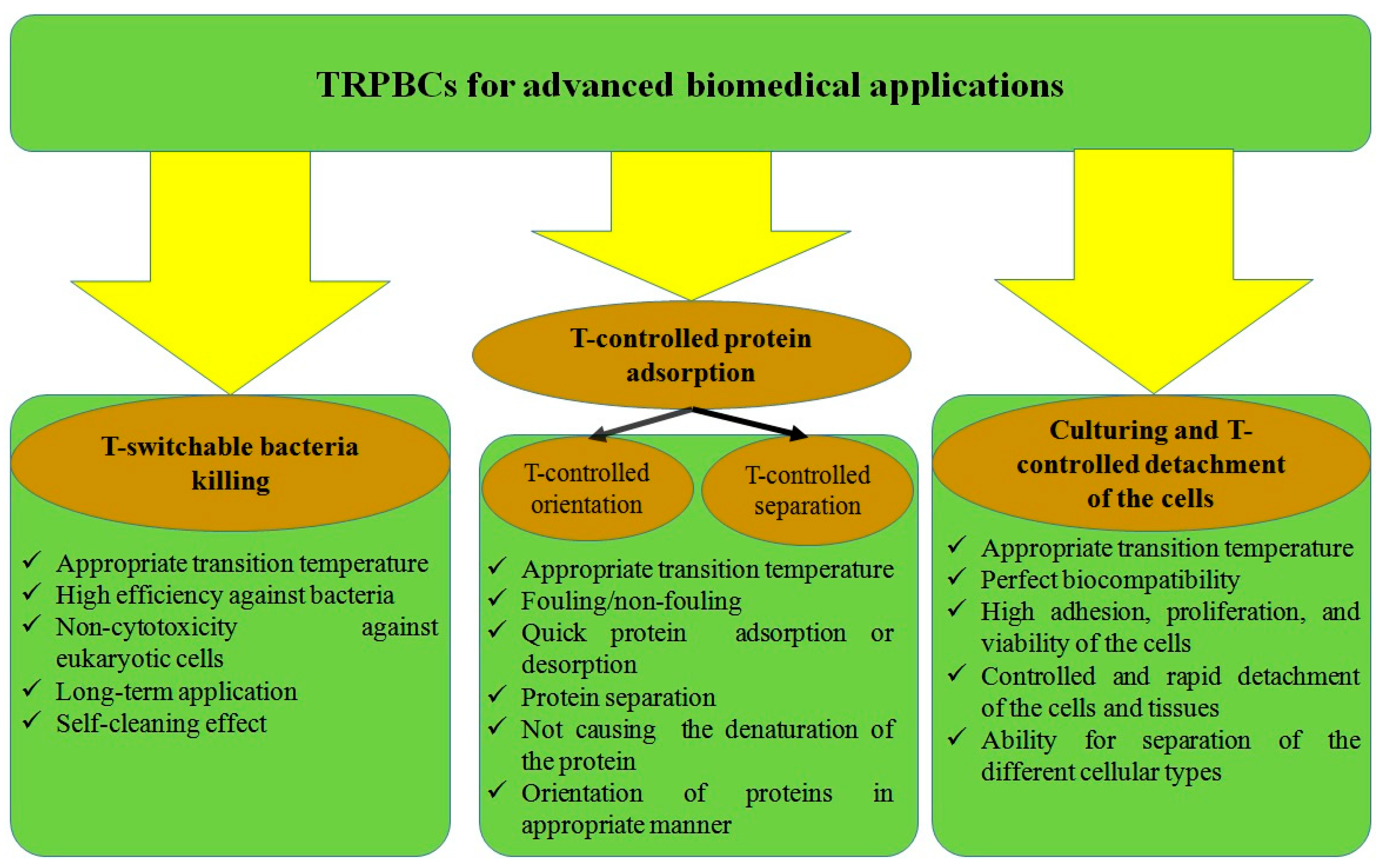 Temperature-Responsive Polymer Brush Coatings for Advanced 