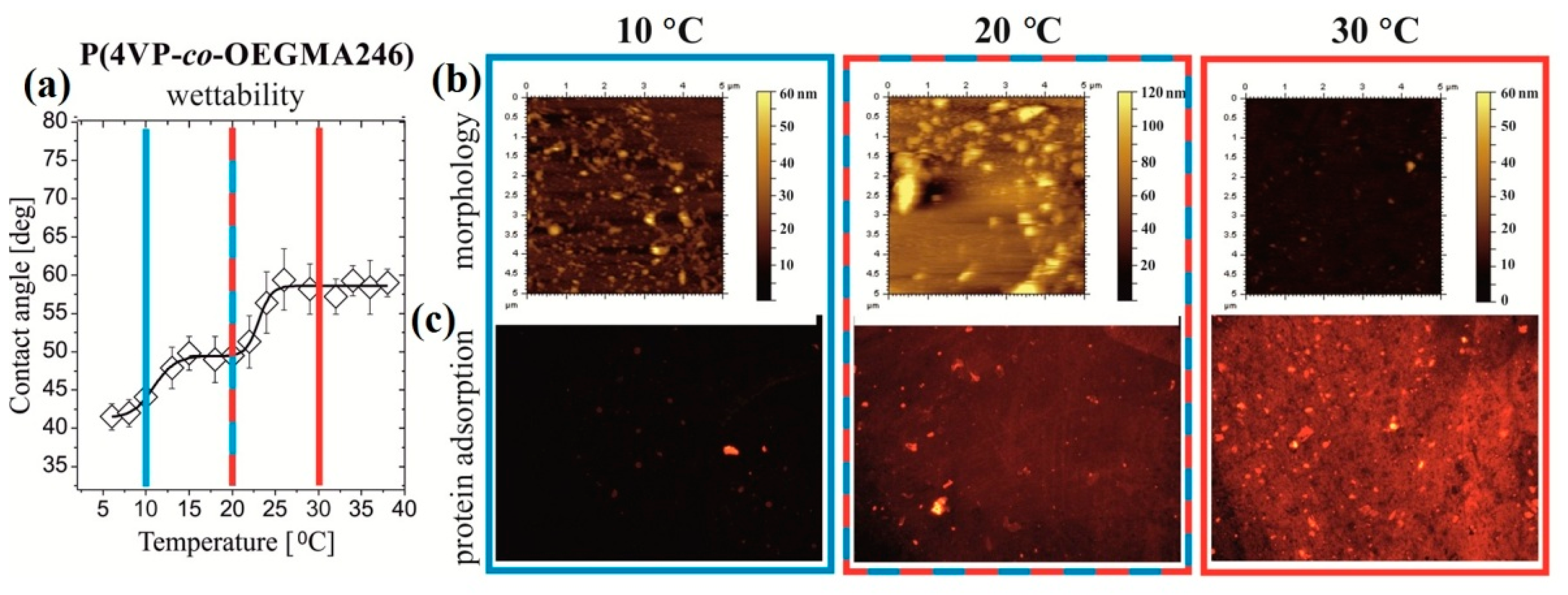 Polymers 14 04245 g012 Polymers 14 04245 g012