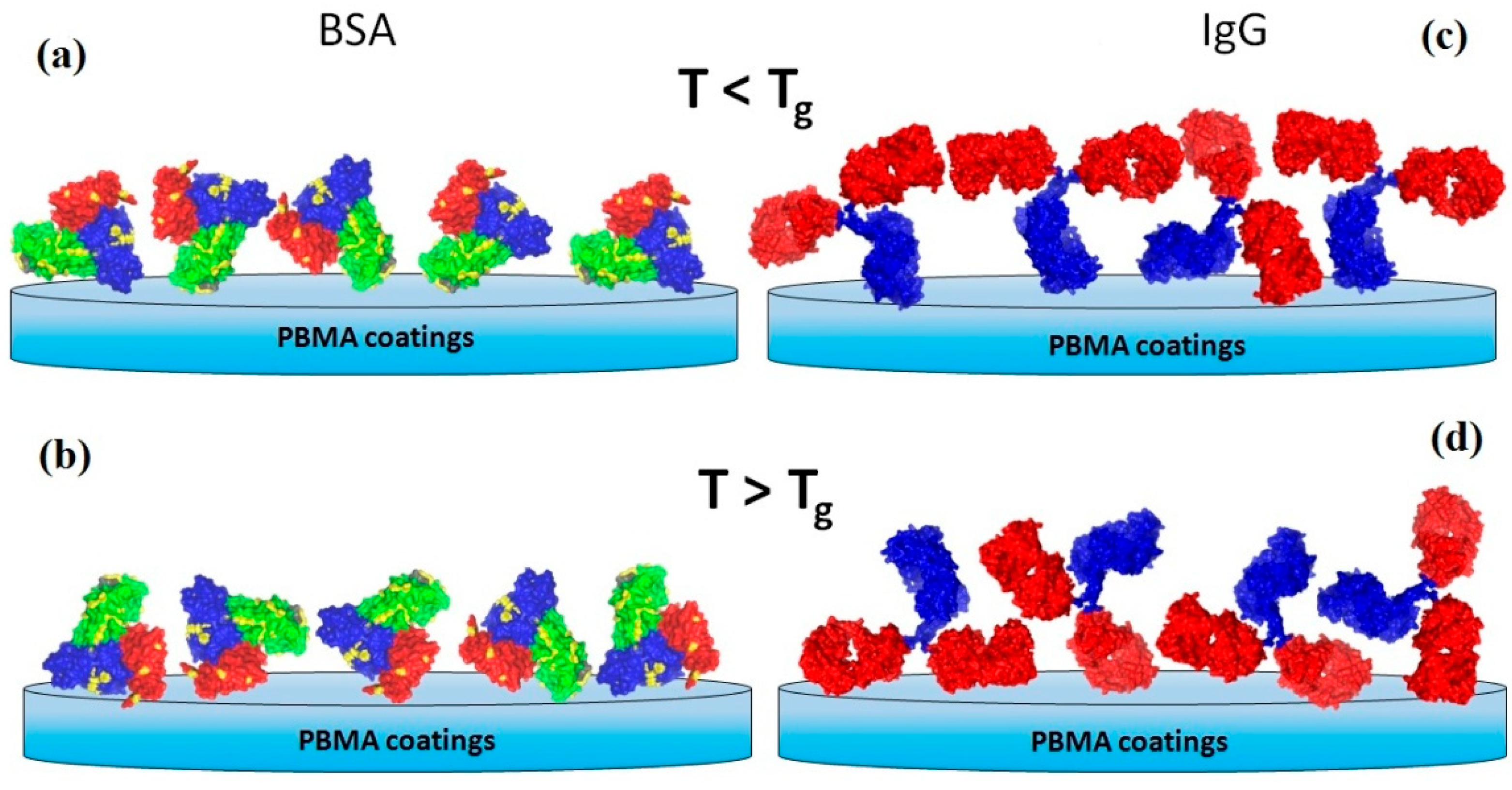 Polymers 14 04245 g013 Polymers 14 04245 g013