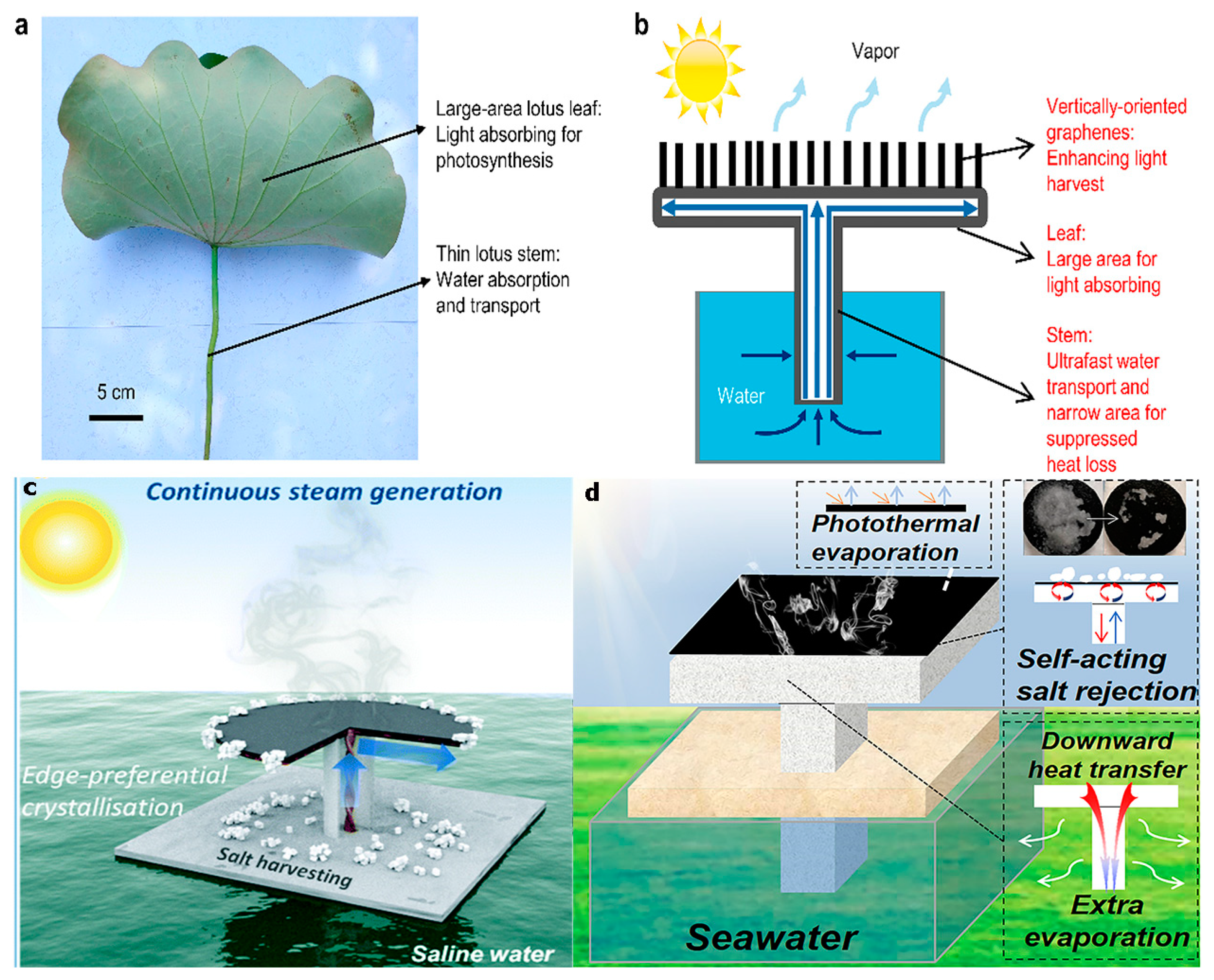 Polymers 14 04246 g010 Polymers 14 04246 g010