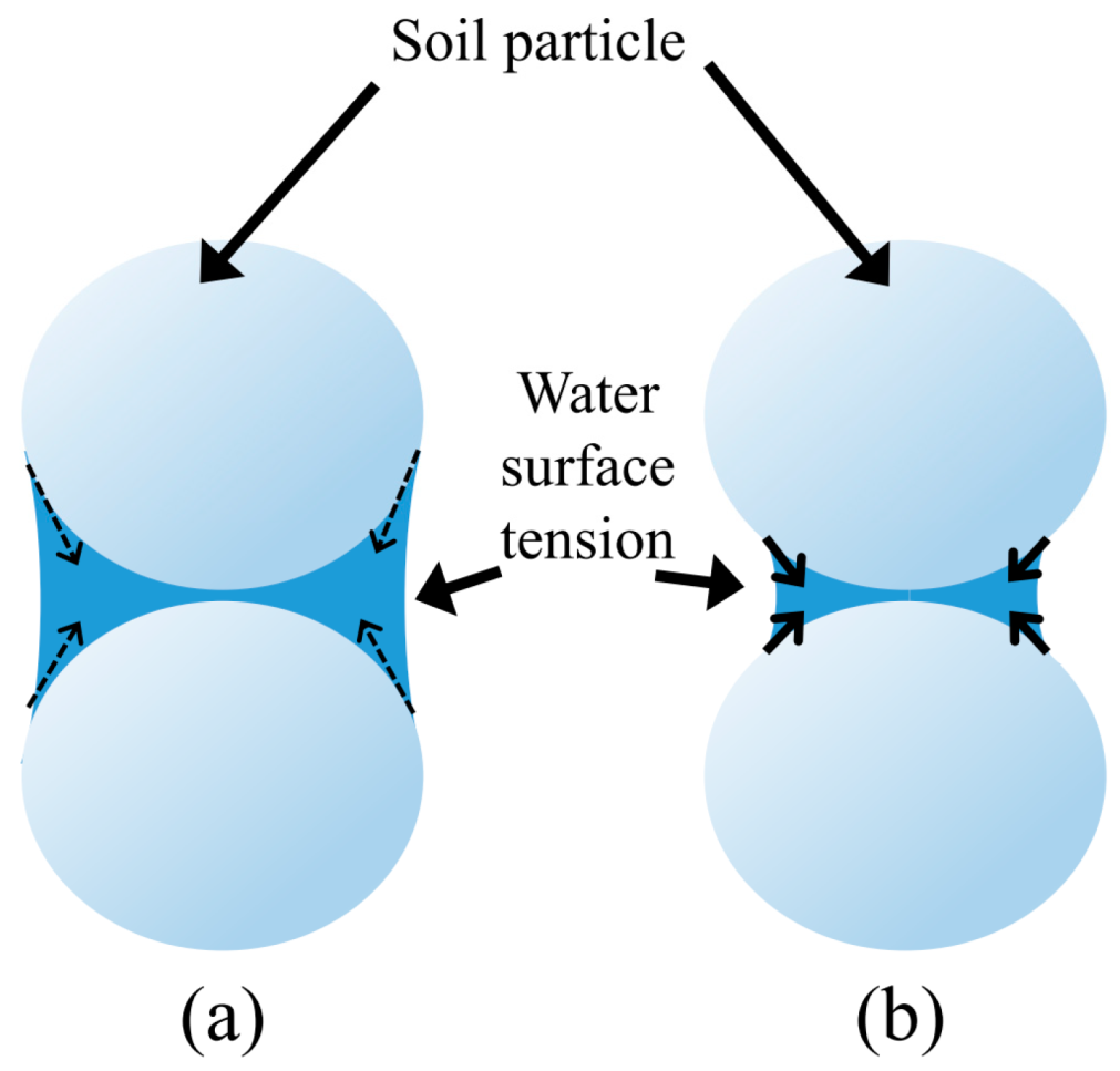 Polymers 14 04247 g006