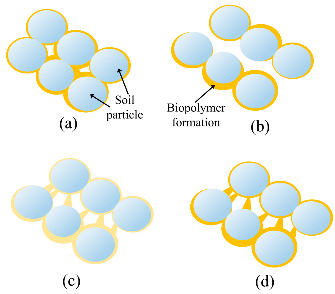 Polymers 14 04247 g008