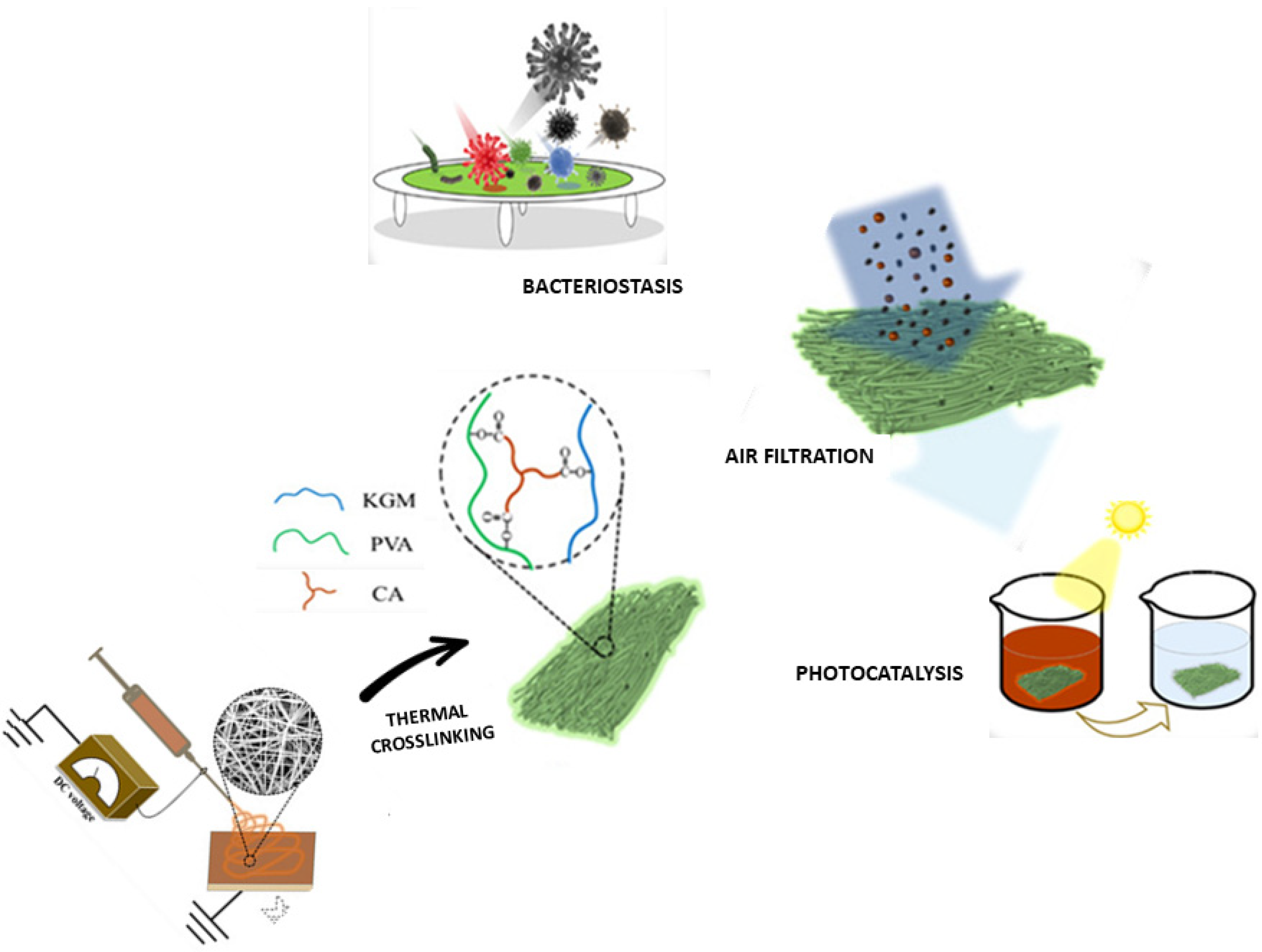 Polymers 14 04249 g006