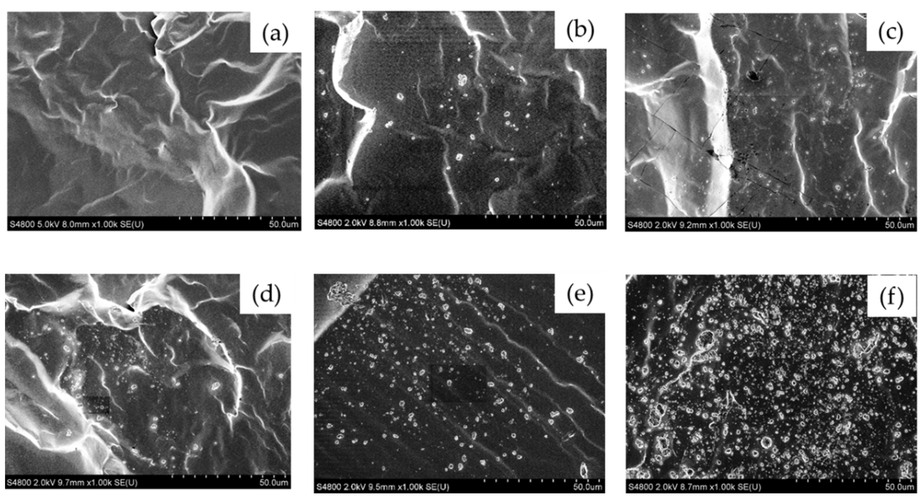 Polymers 14 04252 g001 Polymers 14 04252 g001