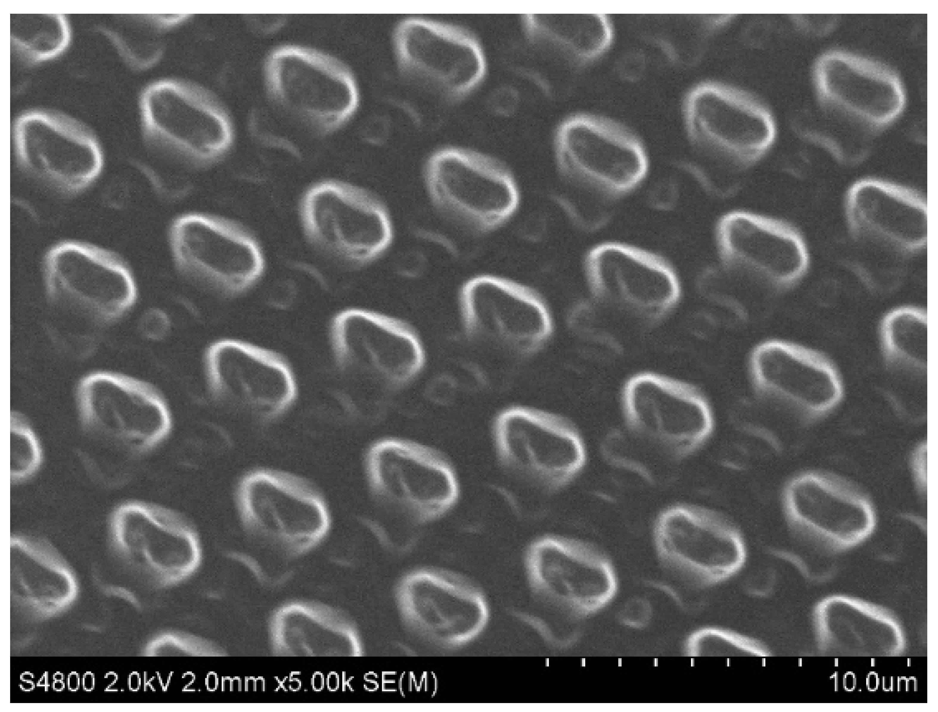 Polymers 14 04252 g013 Polymers 14 04252 g013