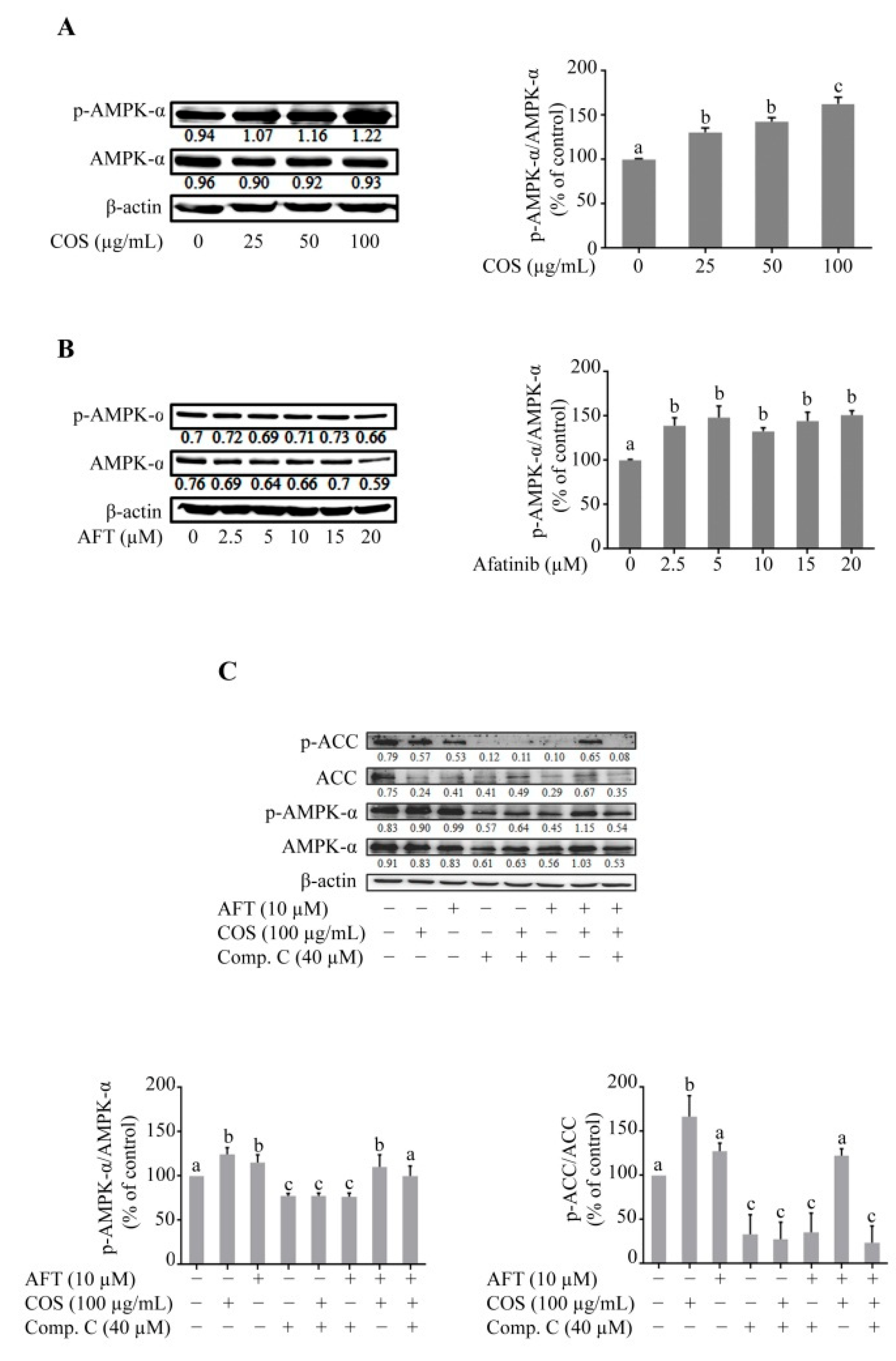Polymers 14 04255 g004 Polymers 14 04255 g004