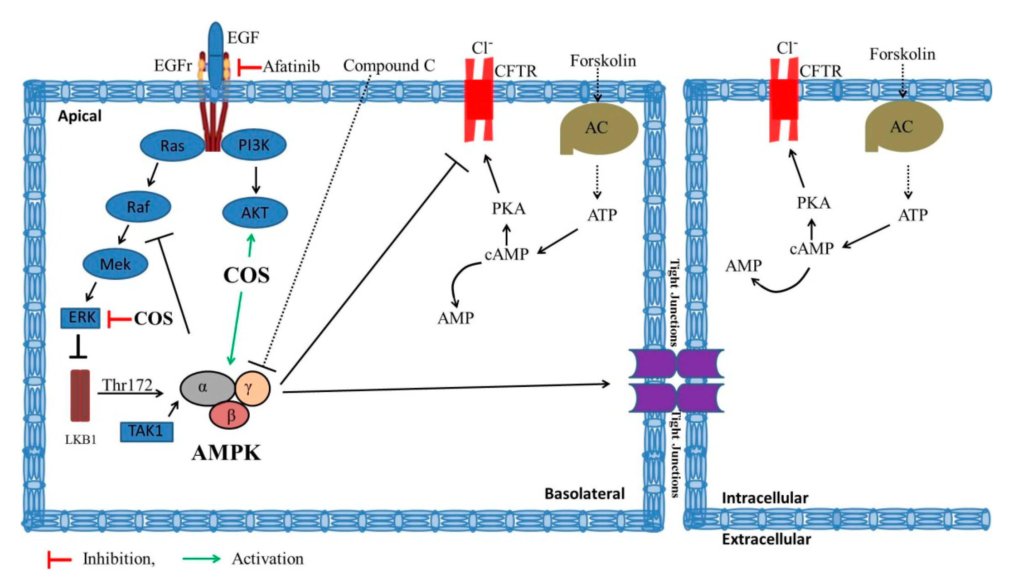 Polymers 14 04255 g007 Polymers 14 04255 g007