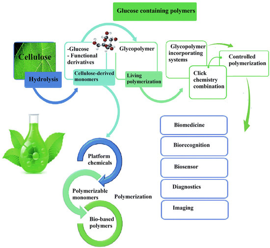 The Green Era of Food Packaging: General Considerations and New Trends